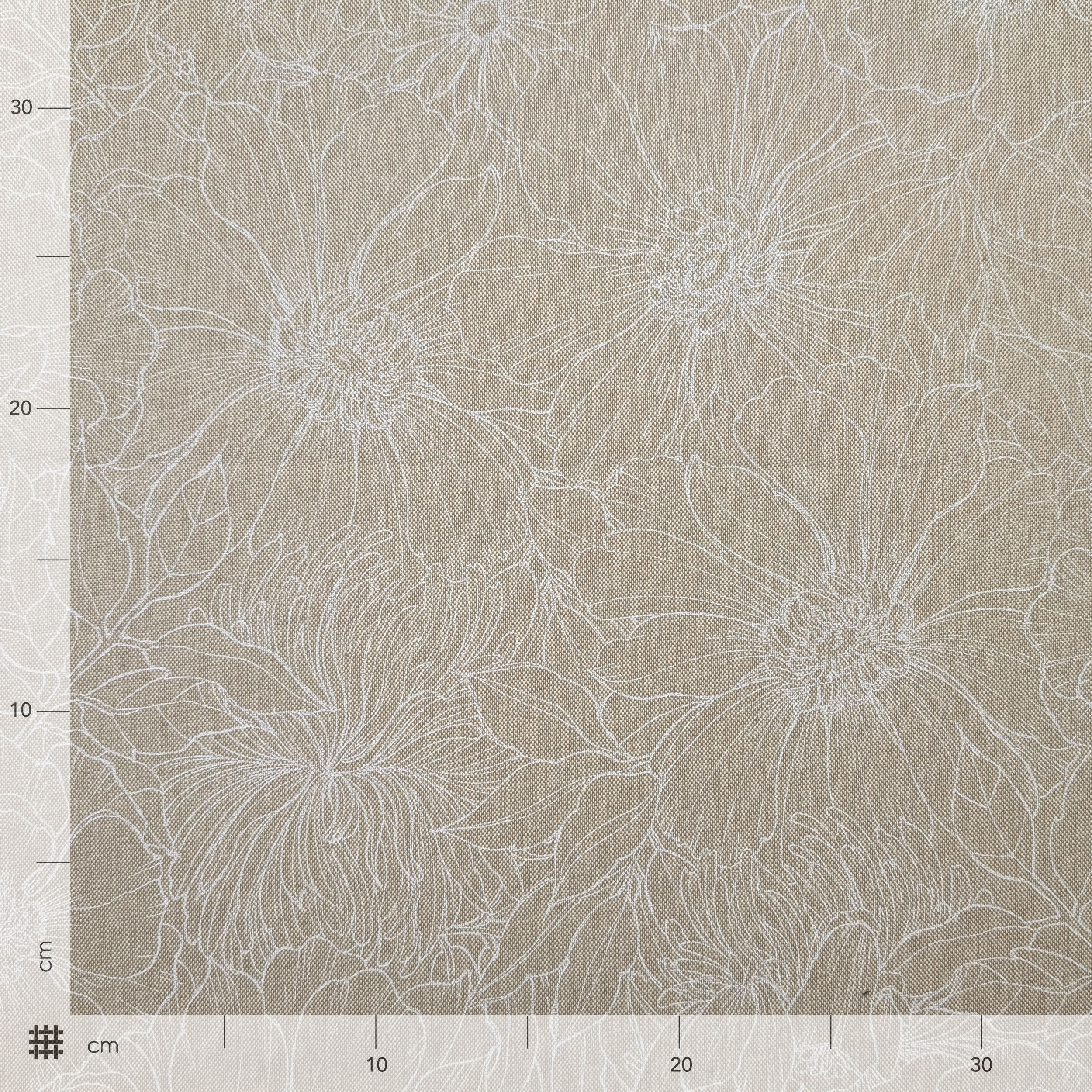 Panama Fleurs blanches Moderne Image