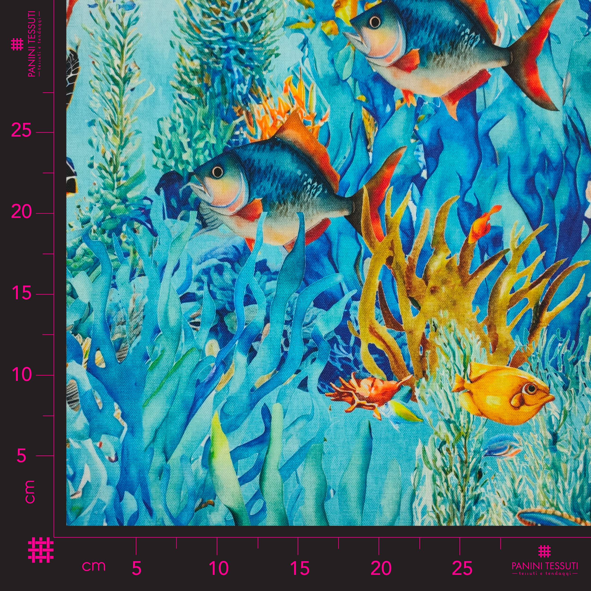 Tissu Coral Reef Panama Image