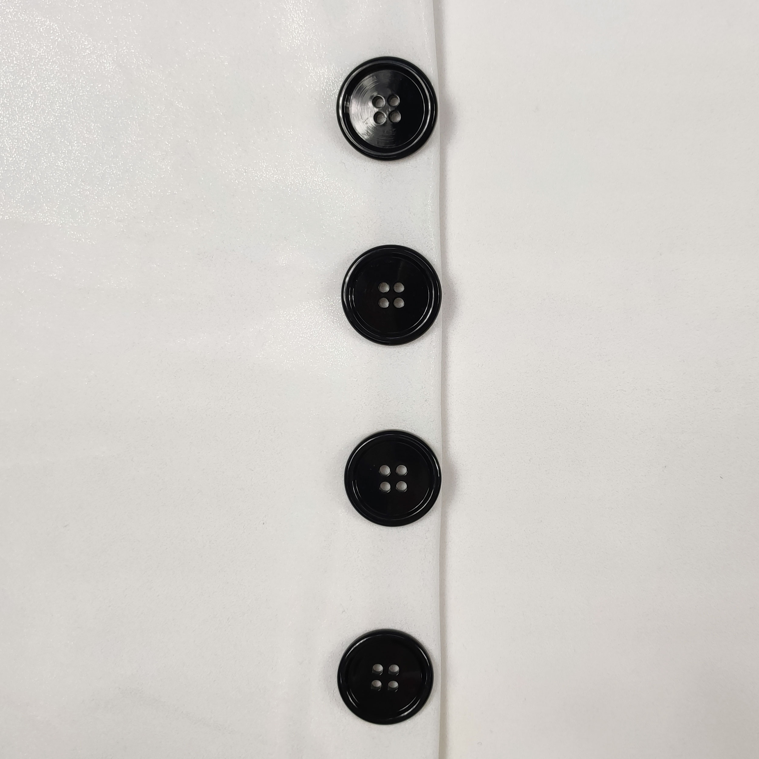 Polished Button 4 Holes Image