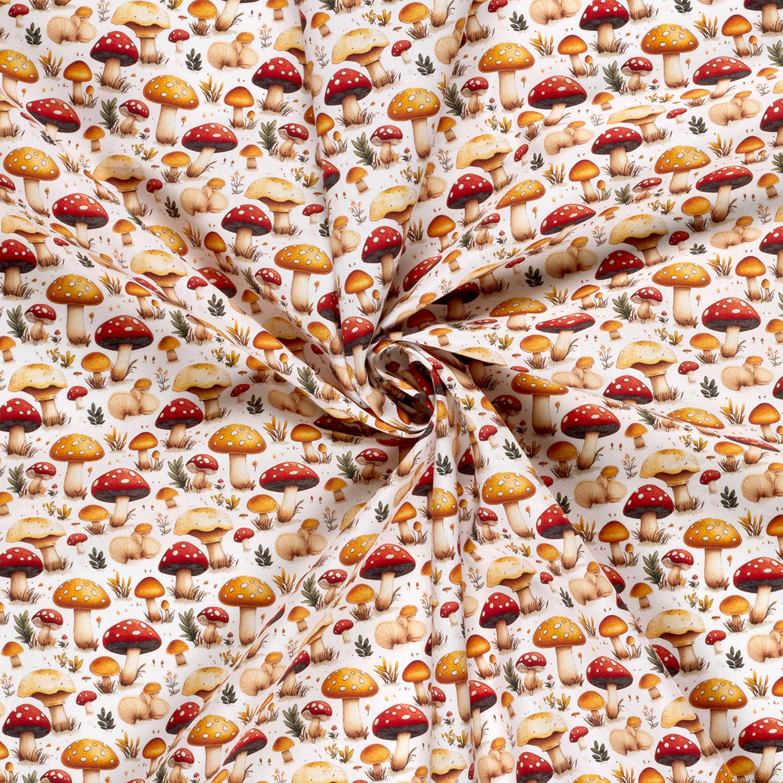 Poplin Cotton Mushroom White Background Image