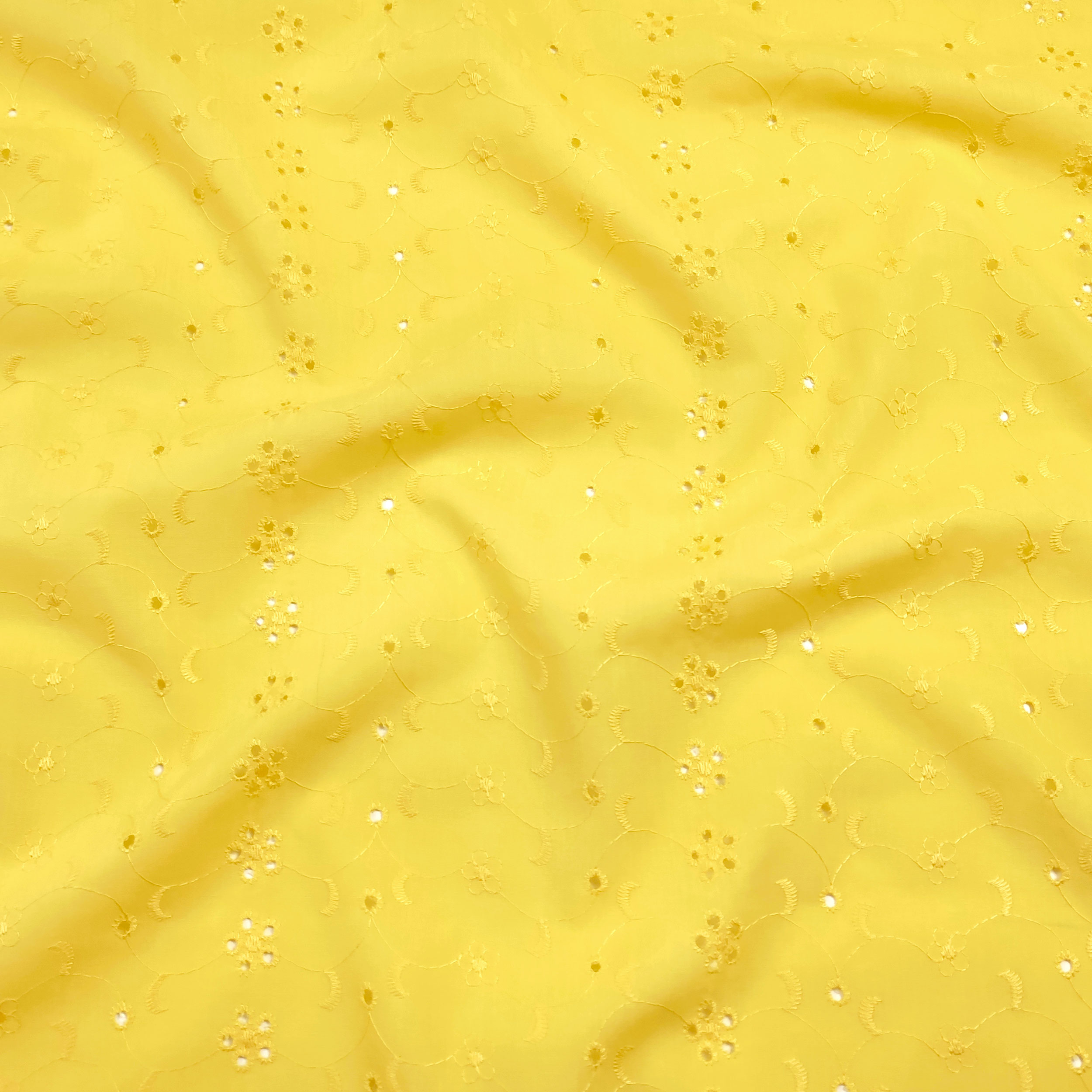 Giallo Chiaro - D085