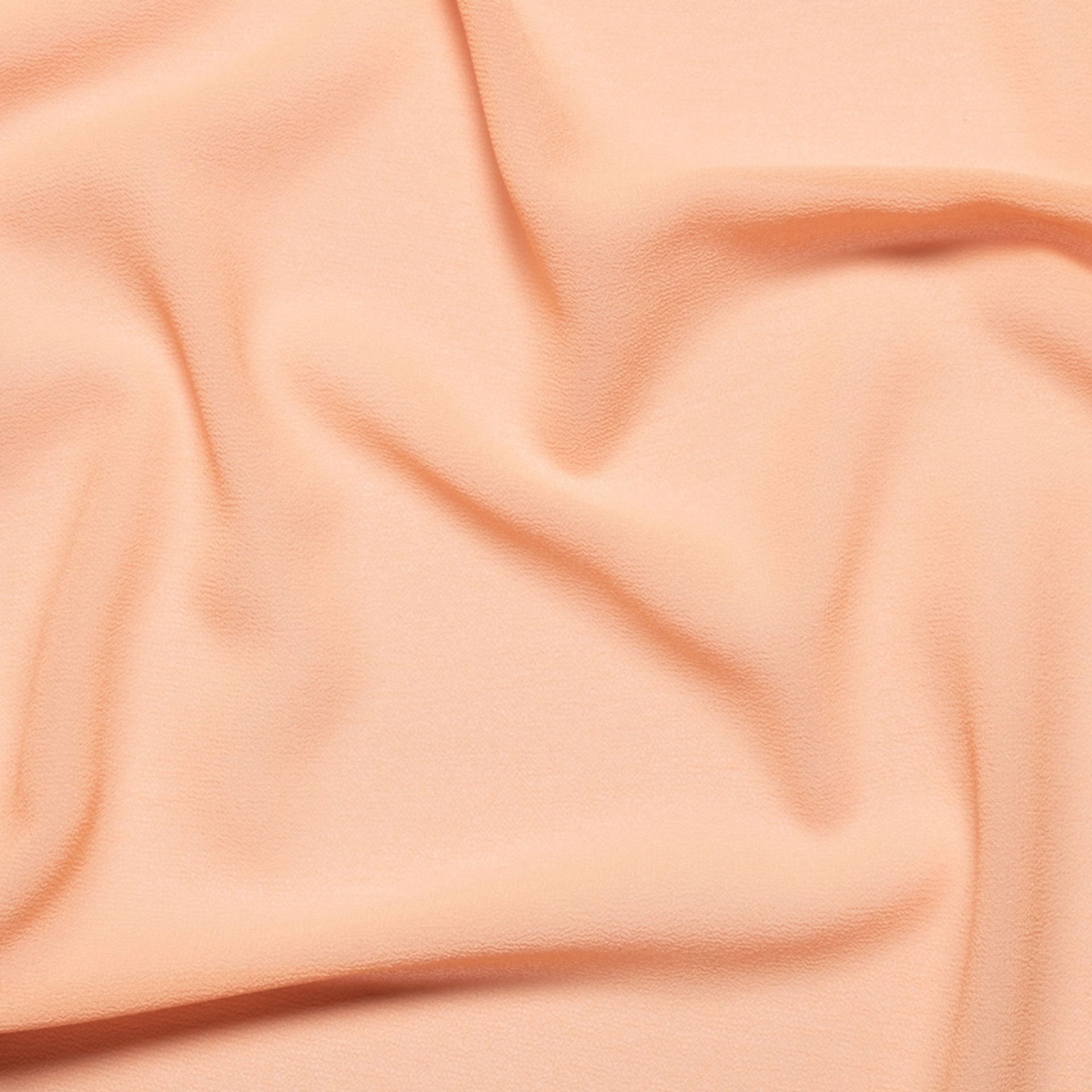 Salmon - E141