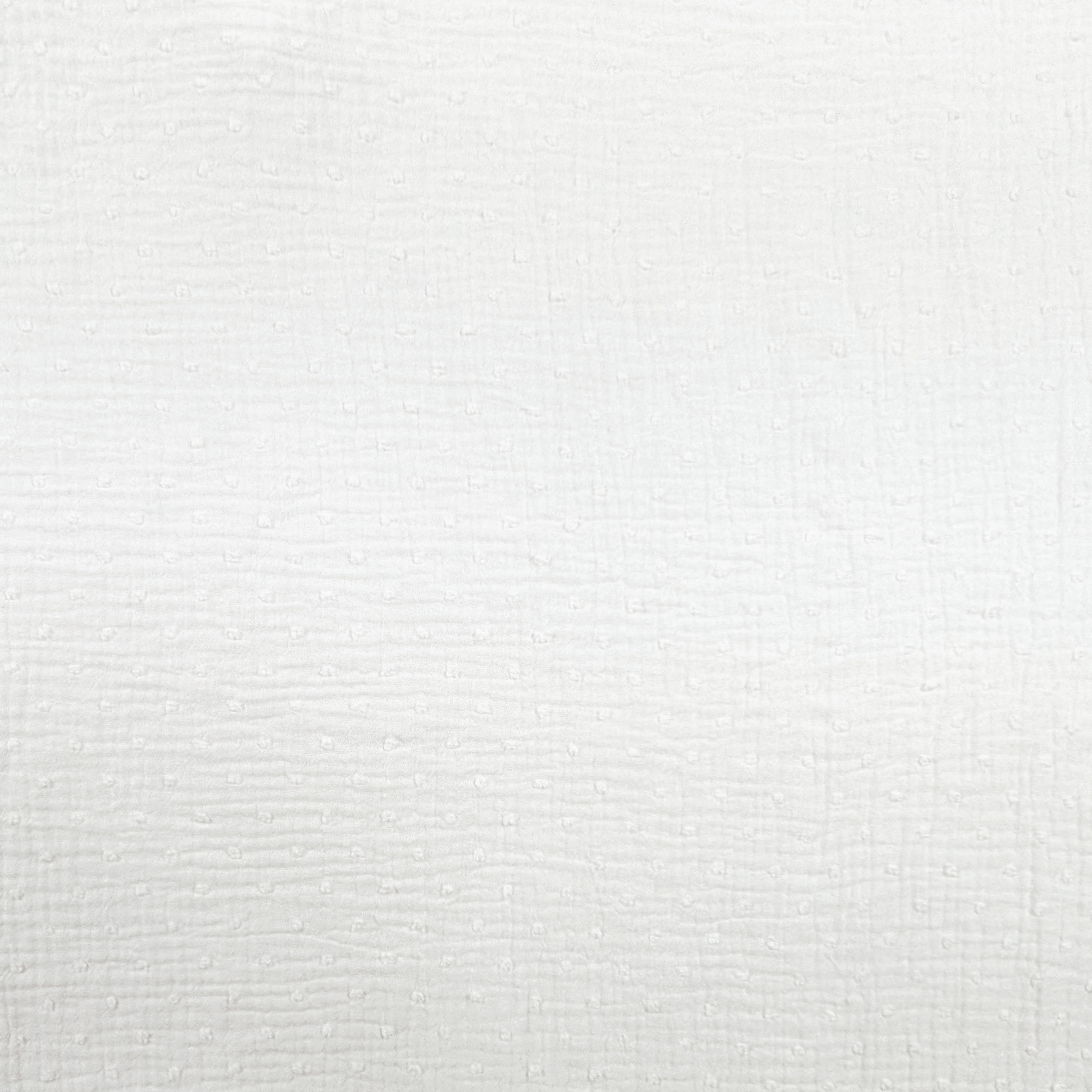 Plumetis White Cotton Muslin Image