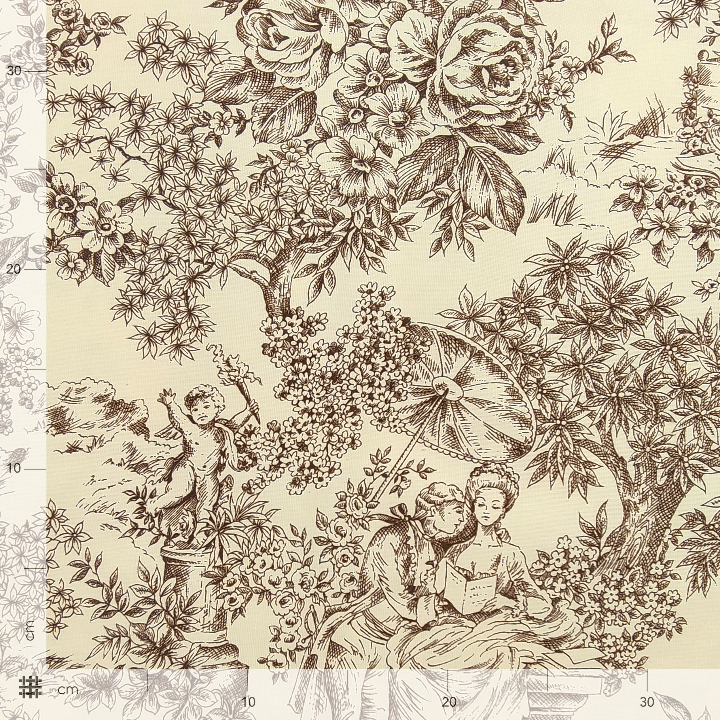 Panama Fabric Toile De Jouy Fond Marron Crème Image