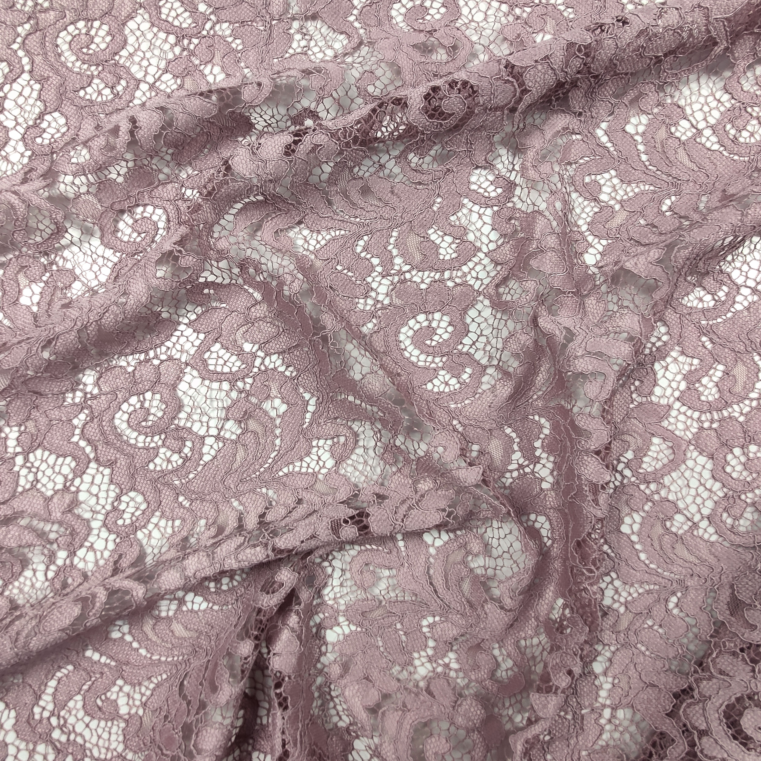 Micky Lace Image