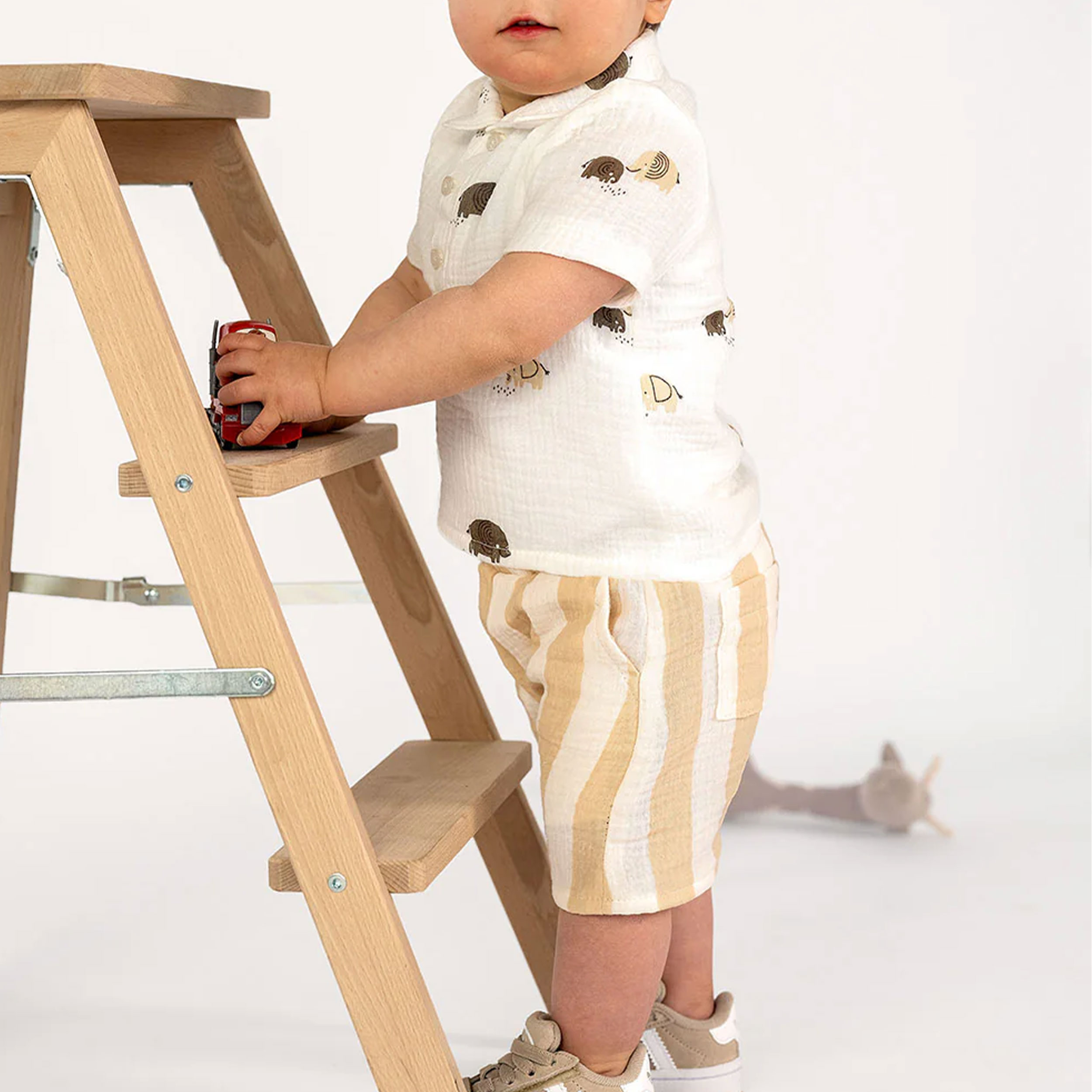 Cotton Muslin Vertical Stripes Beige Image