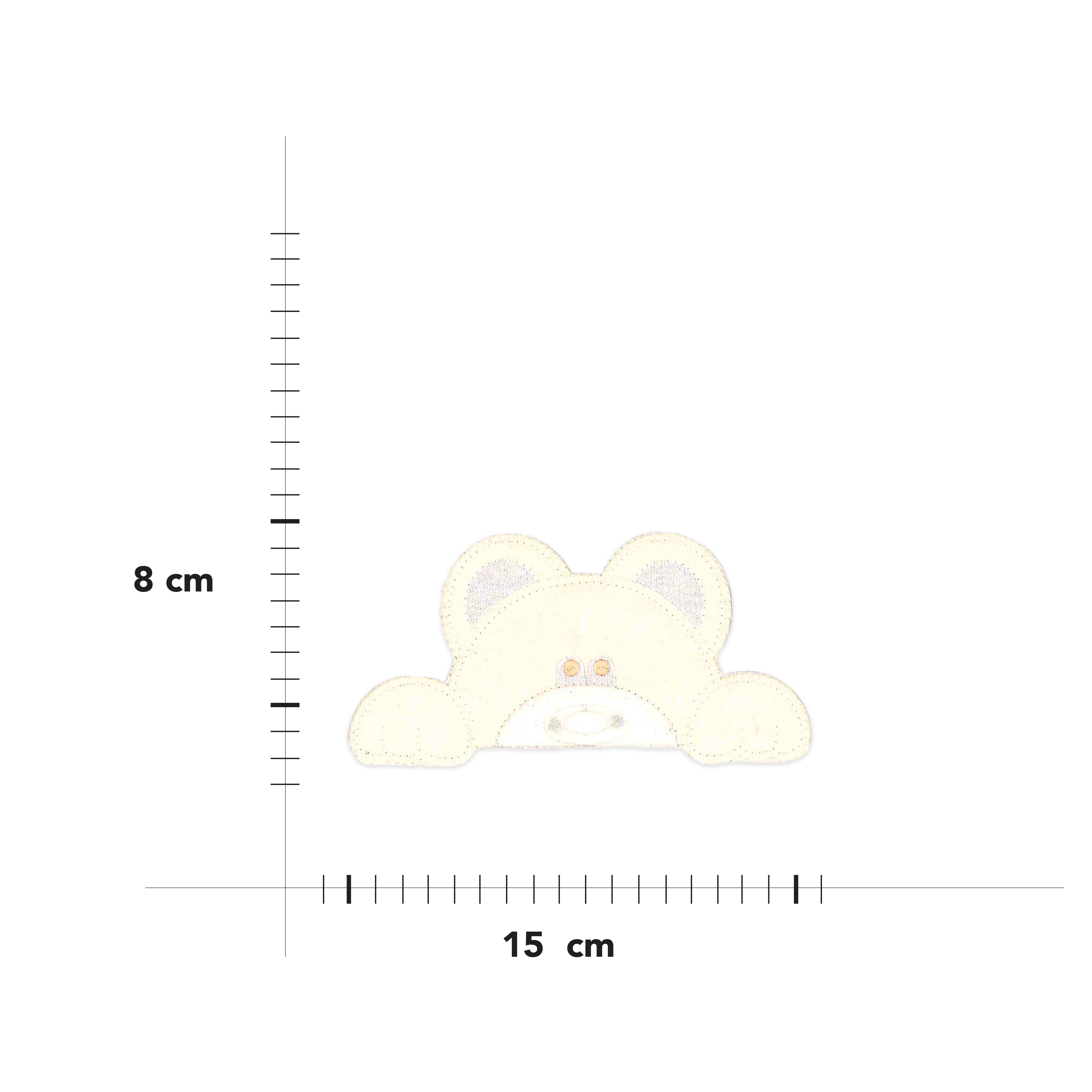 Teddy Bear Application Image