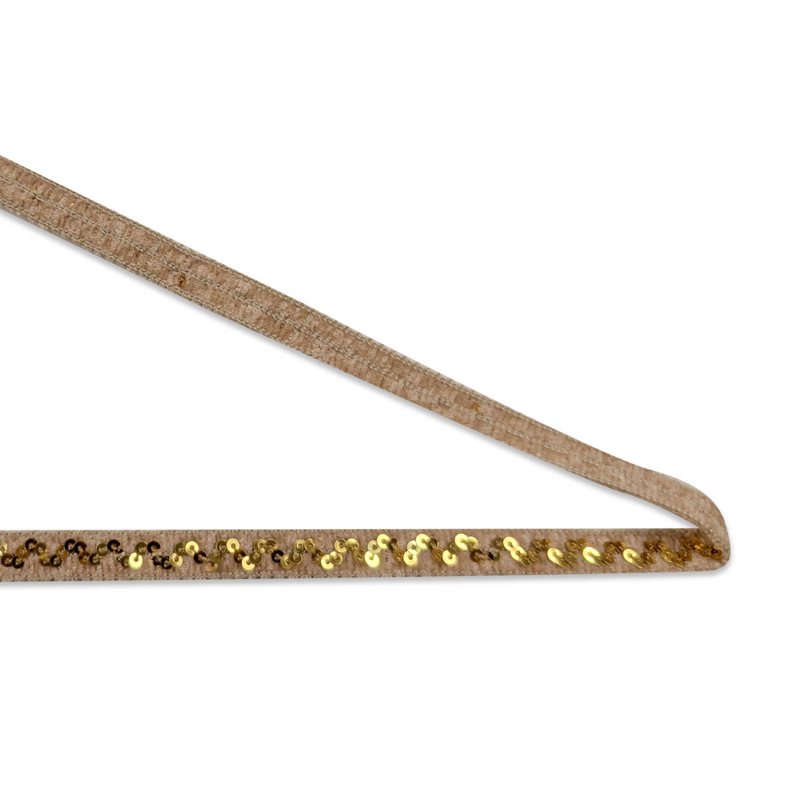 Beige Trimmings with Sequins Image