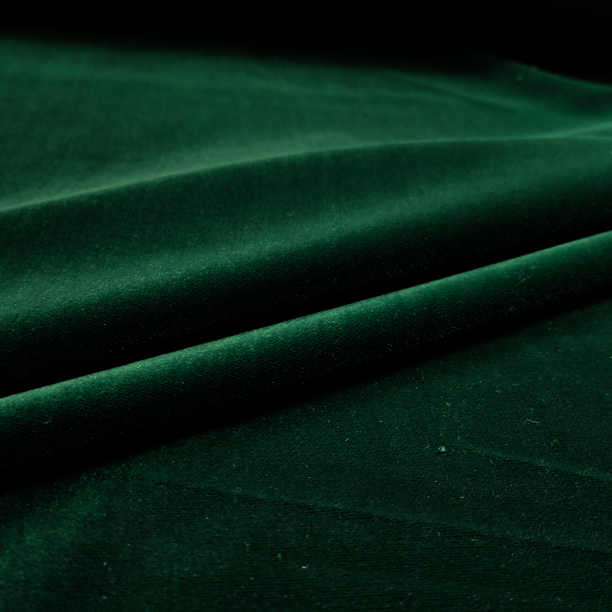 Mode velours vert Image
