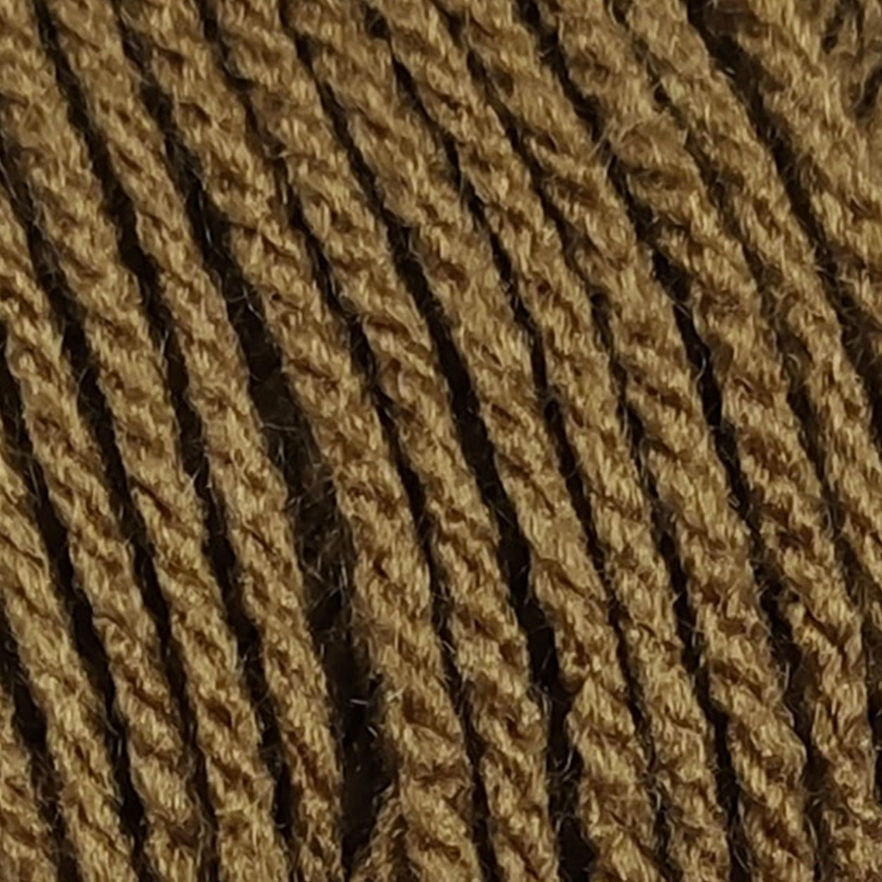 Hazelnut - 1524