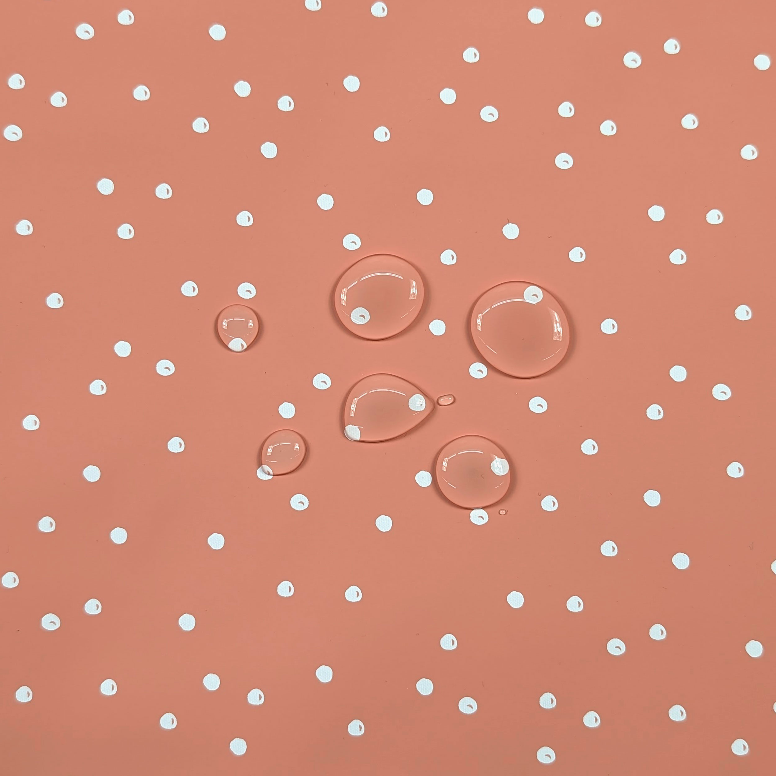 Mackintosh White Polka Dots Peach Background Image