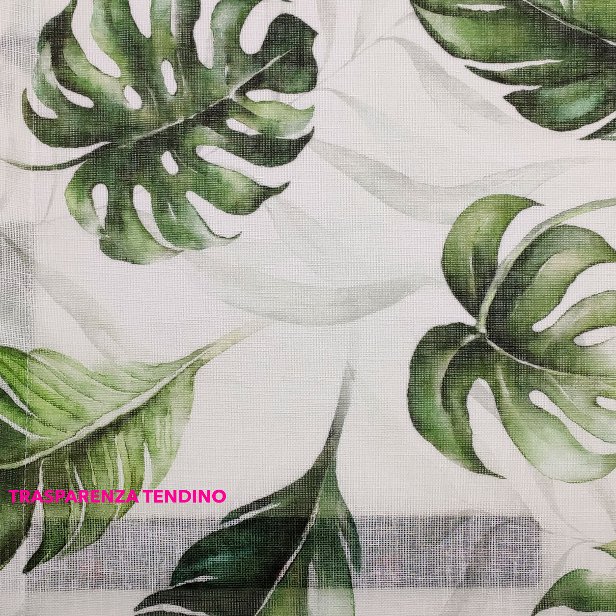 tendino-semi-trasparente-foglie-tropicali