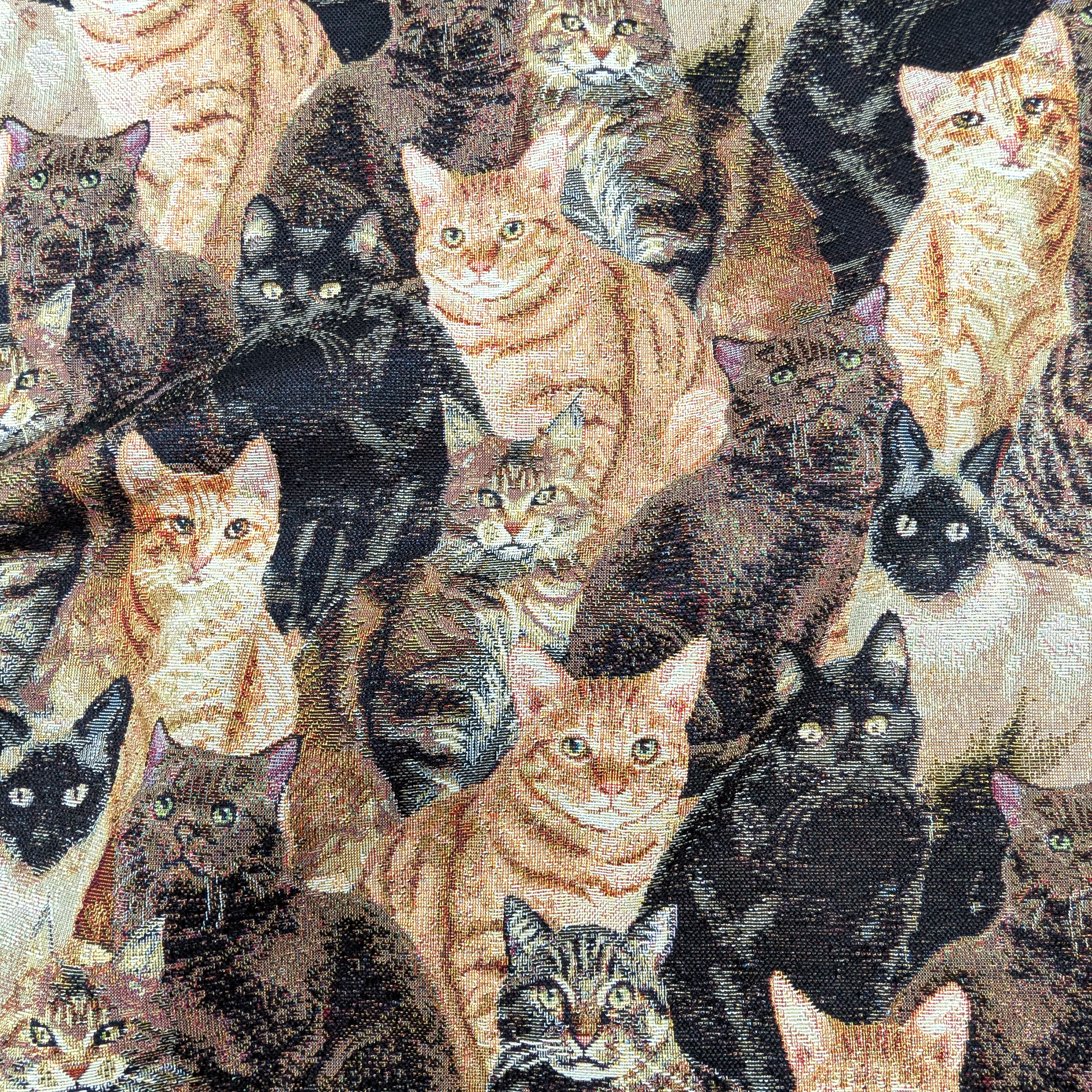 Gobelino Tela Gato Fantasía Image