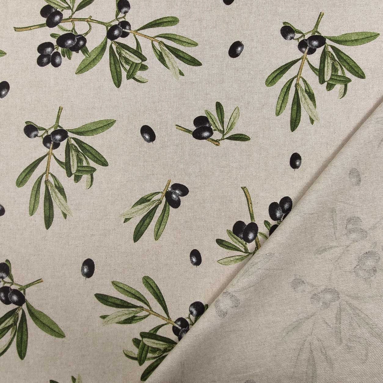Meubles de Panama avec olives noires Image