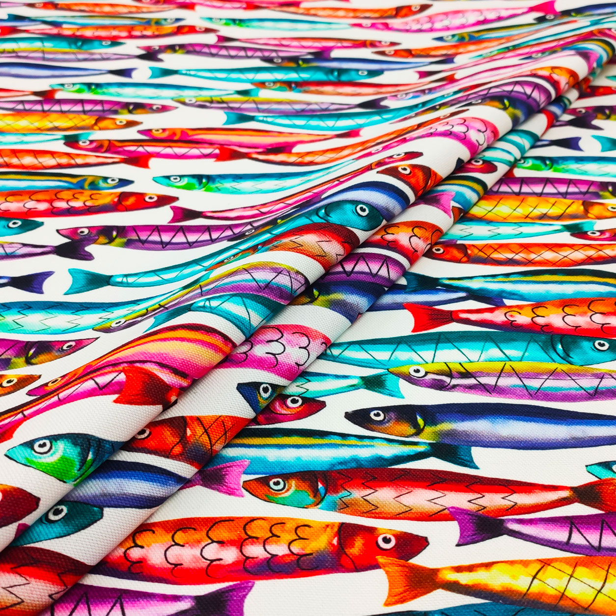 Panama Cotton Sardine Tissu multicolore Image