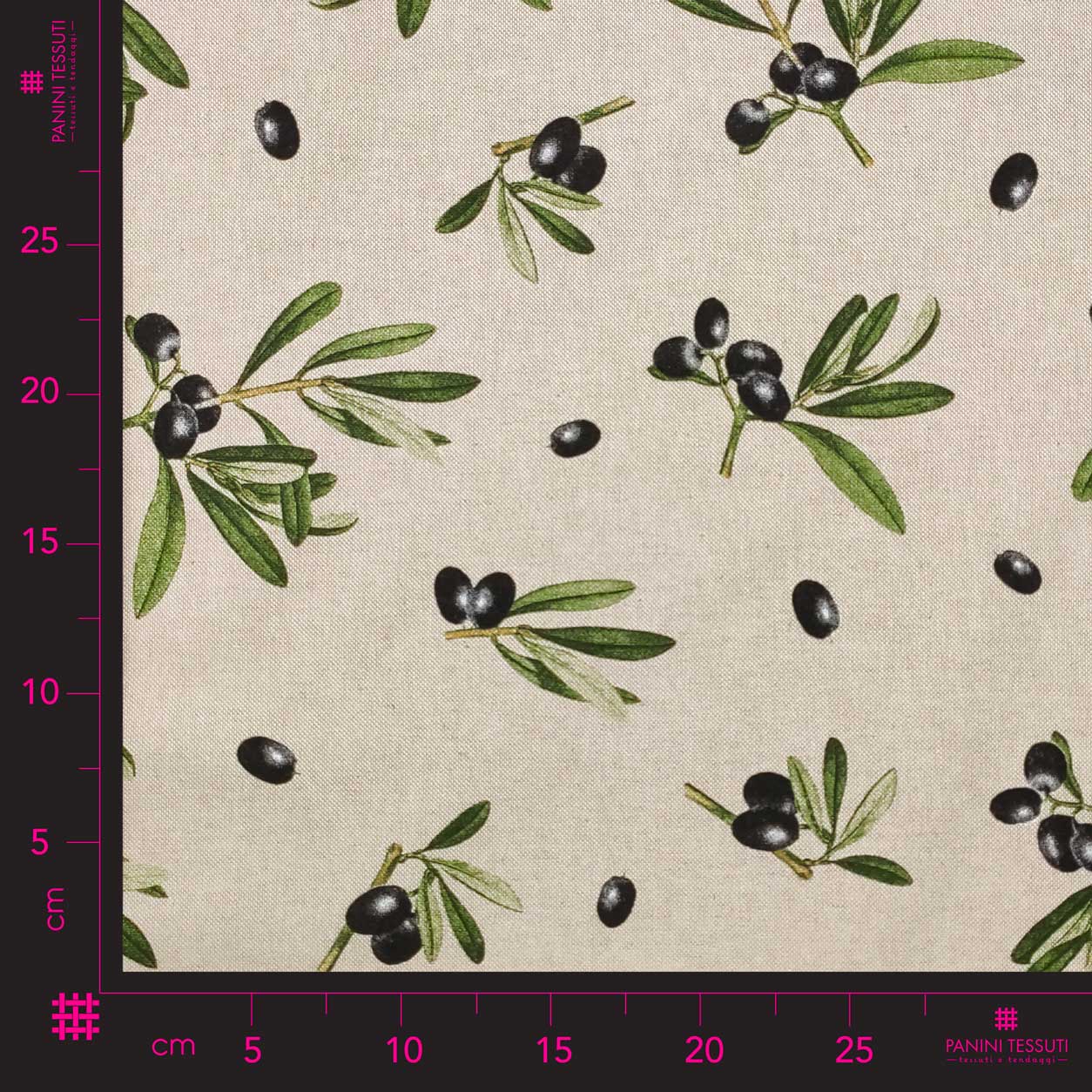 Meubles de Panama avec olives noires Image