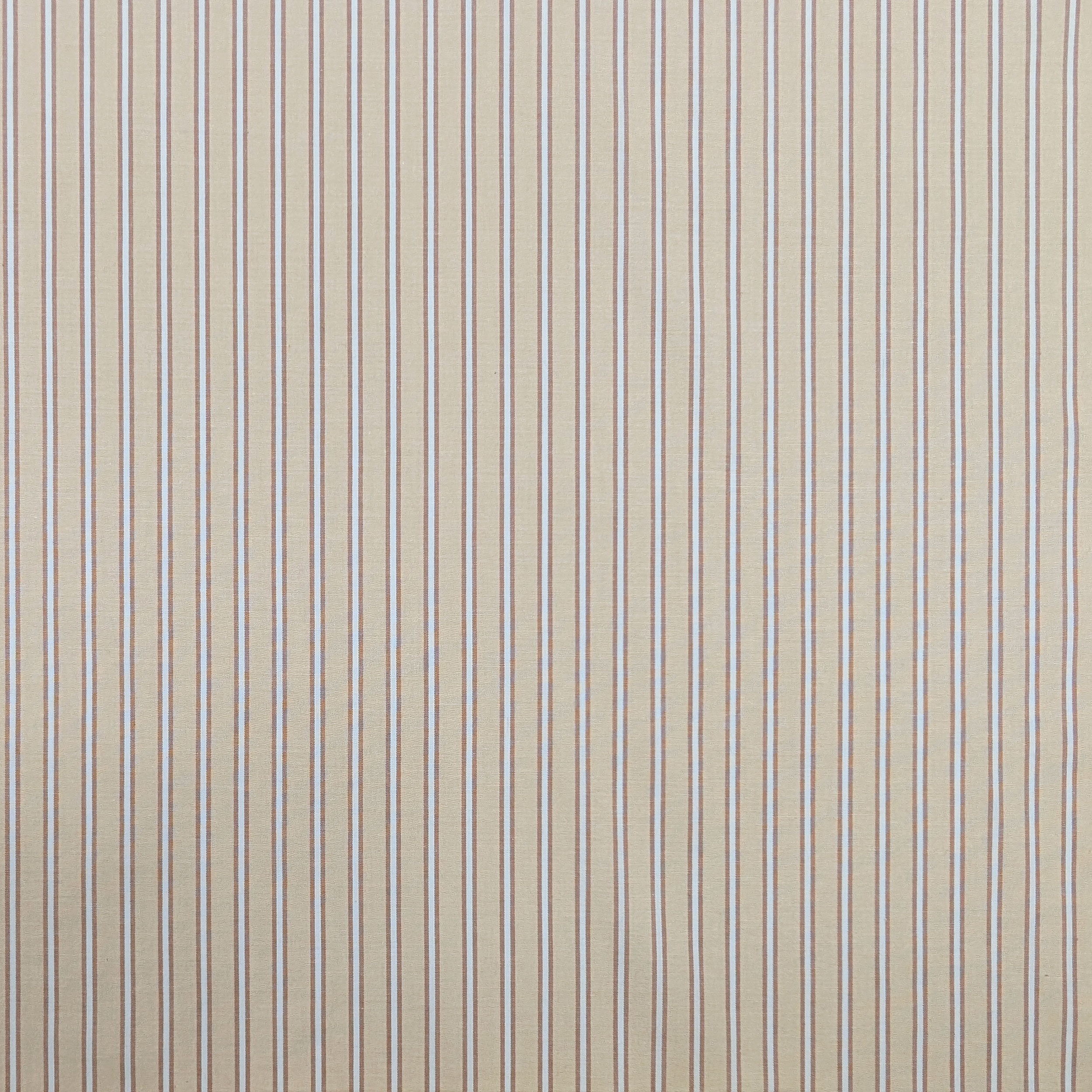 Beige Stretch Cotton for Shirts with Stripes Image