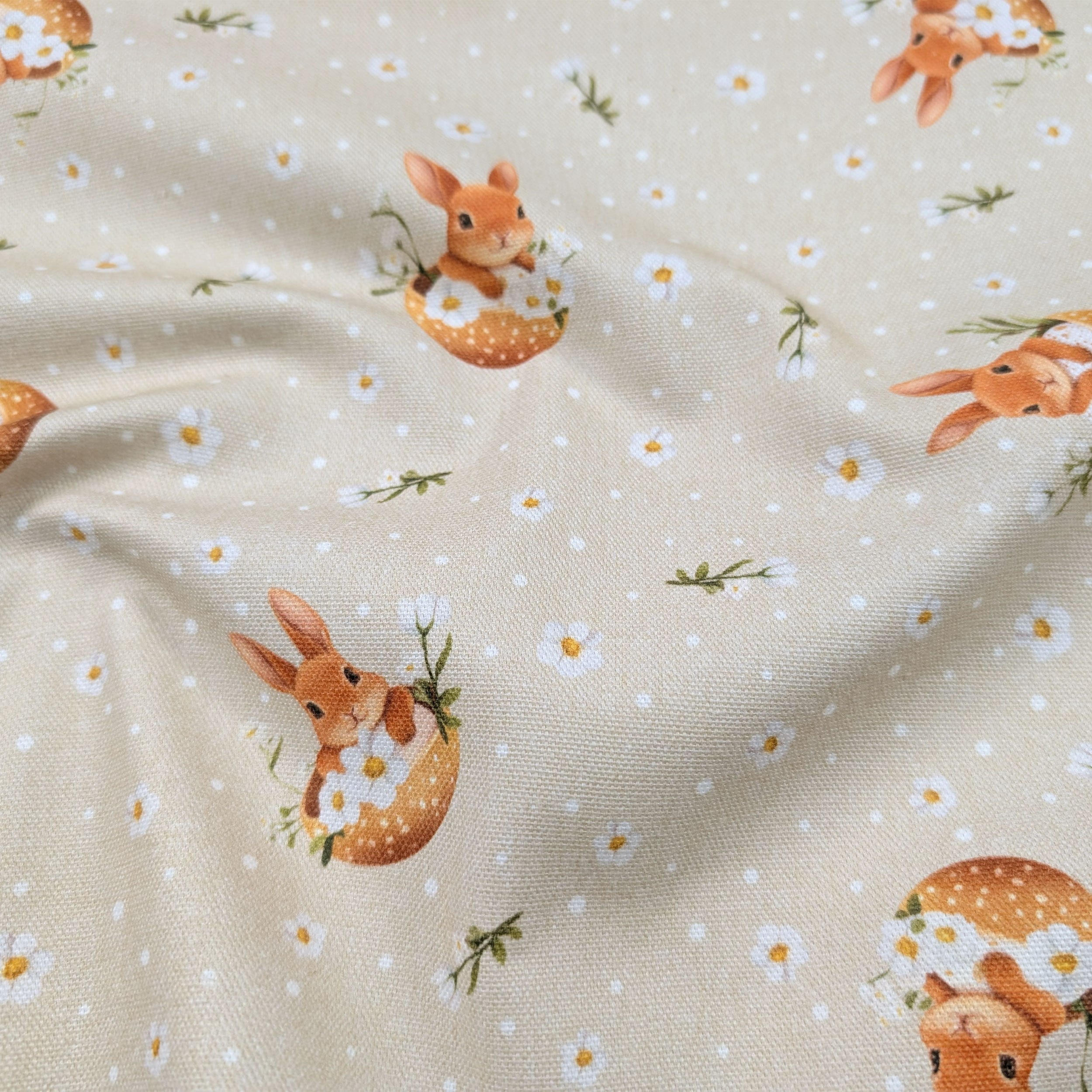 Panama Daisies and Easter Bunnies Image
