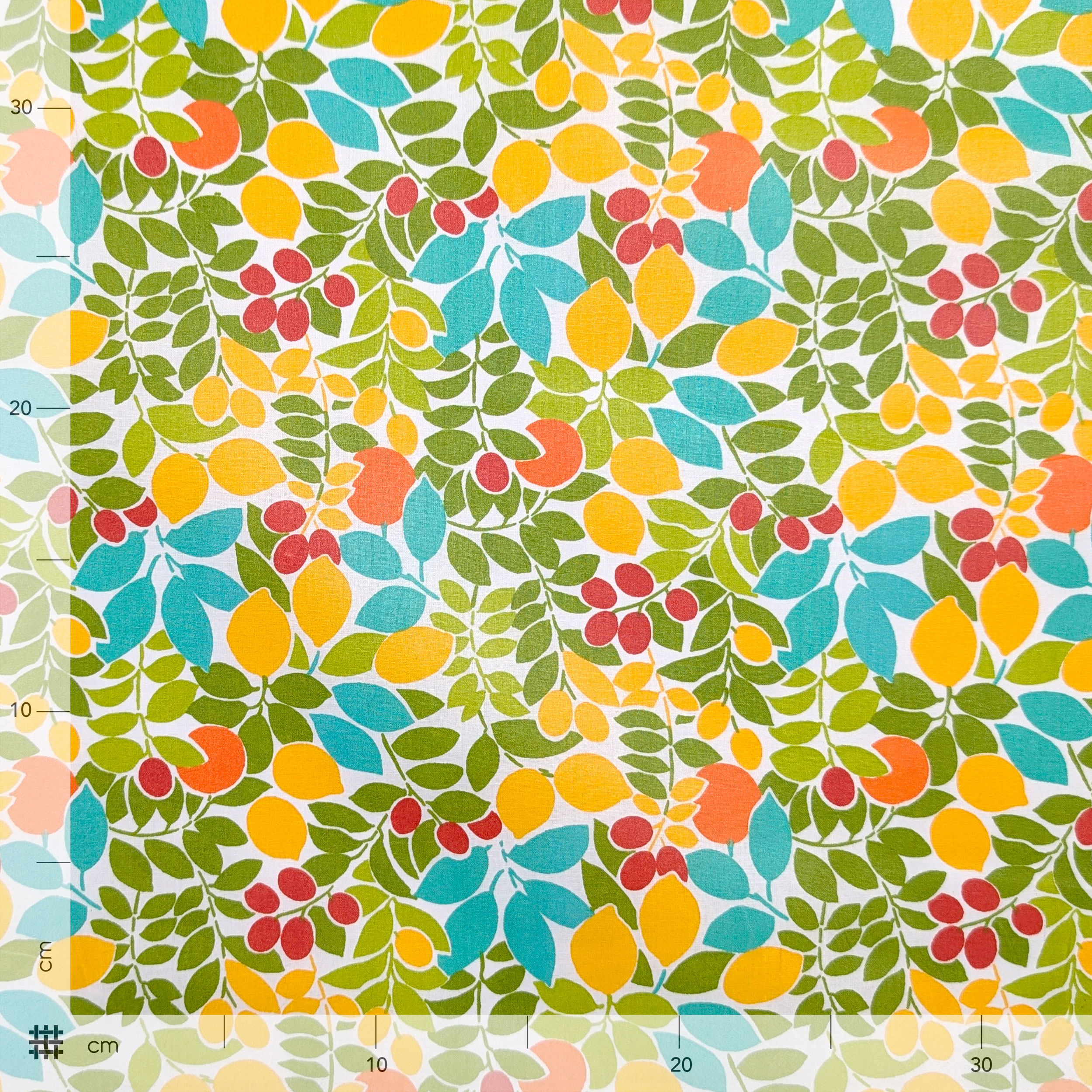 Fabric for Enduite Tablecloth Stain-Free Fruits Image