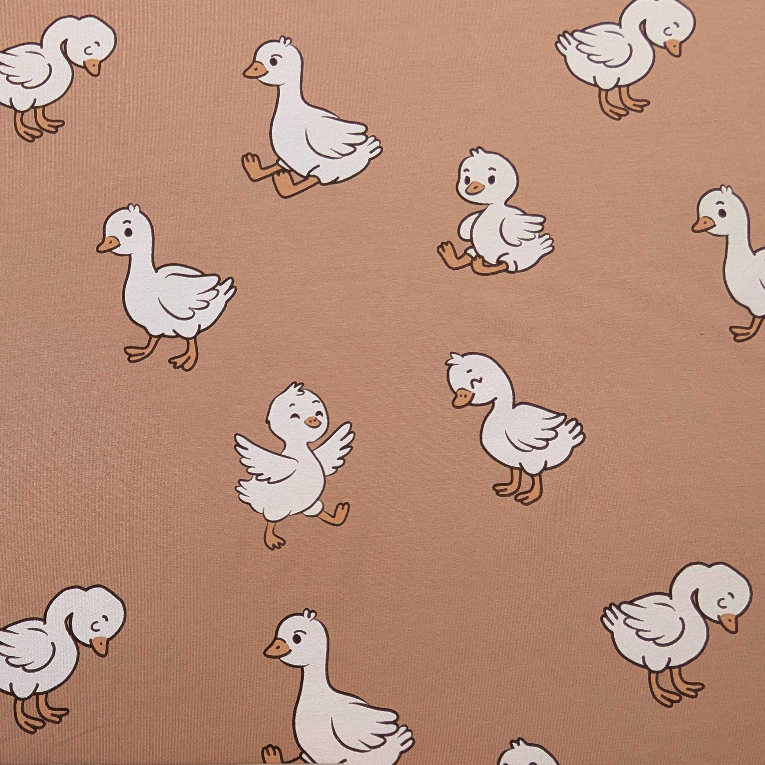 Sweatshirt French Terry Ducks Image