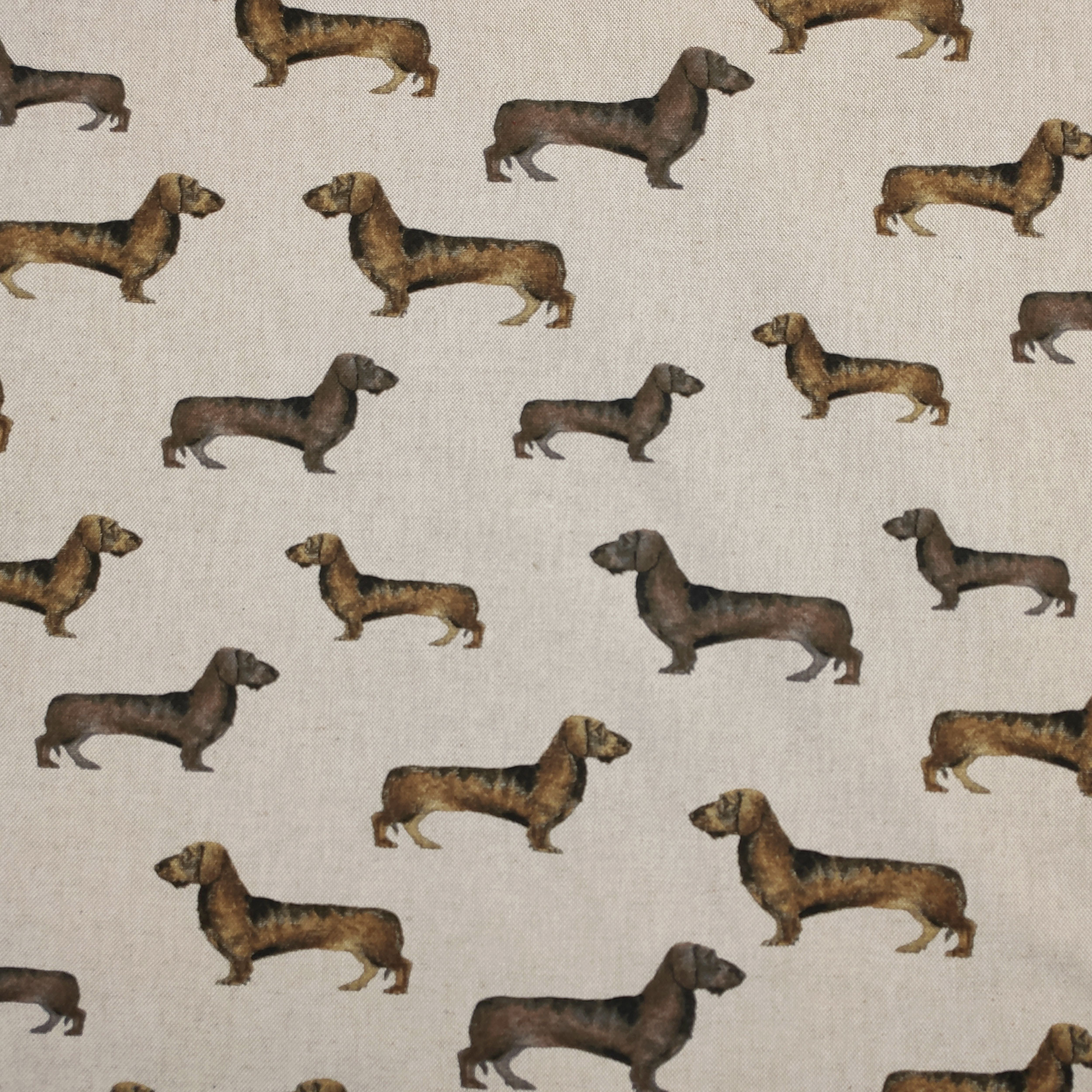Panama-Dachshund-Stoff