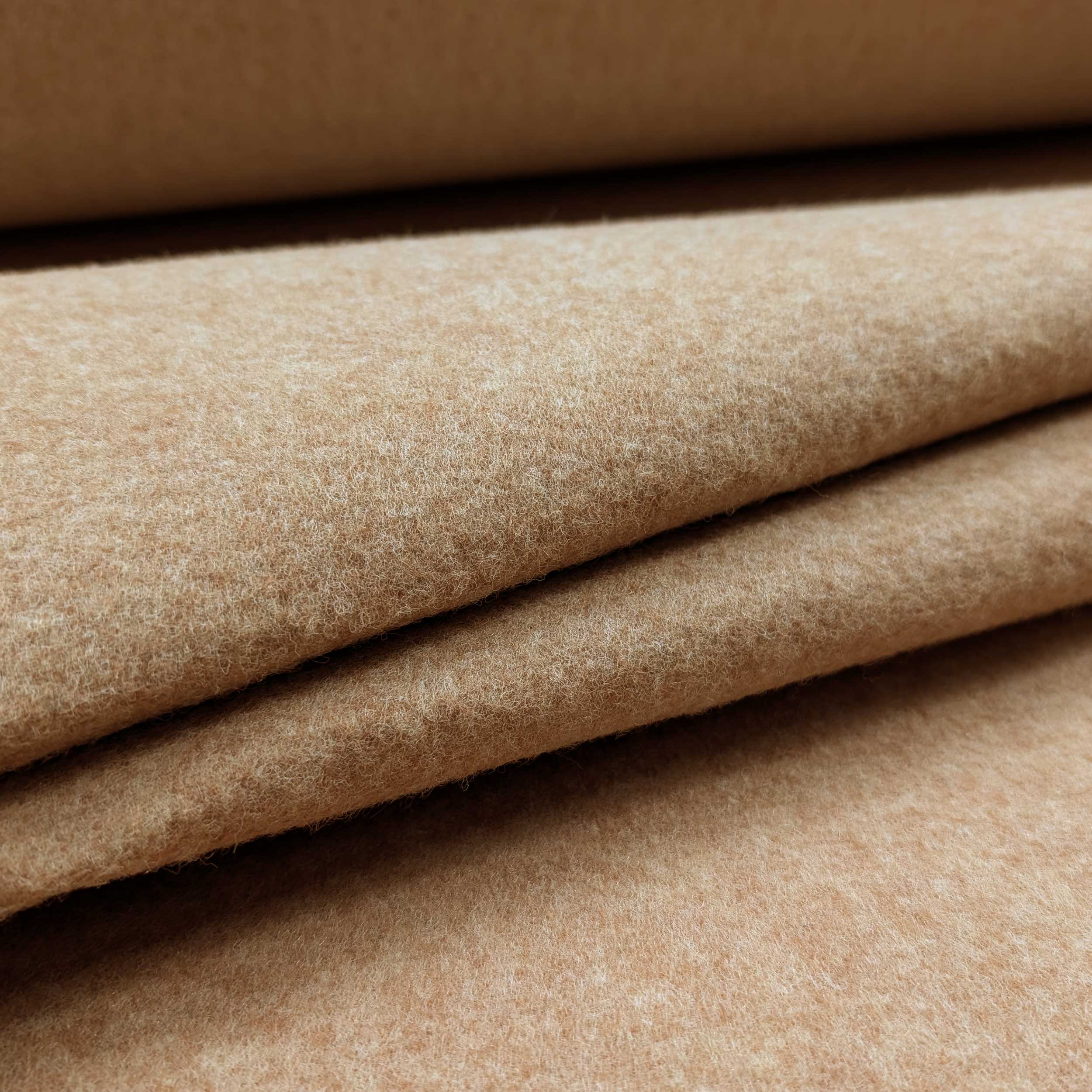Carpet Image