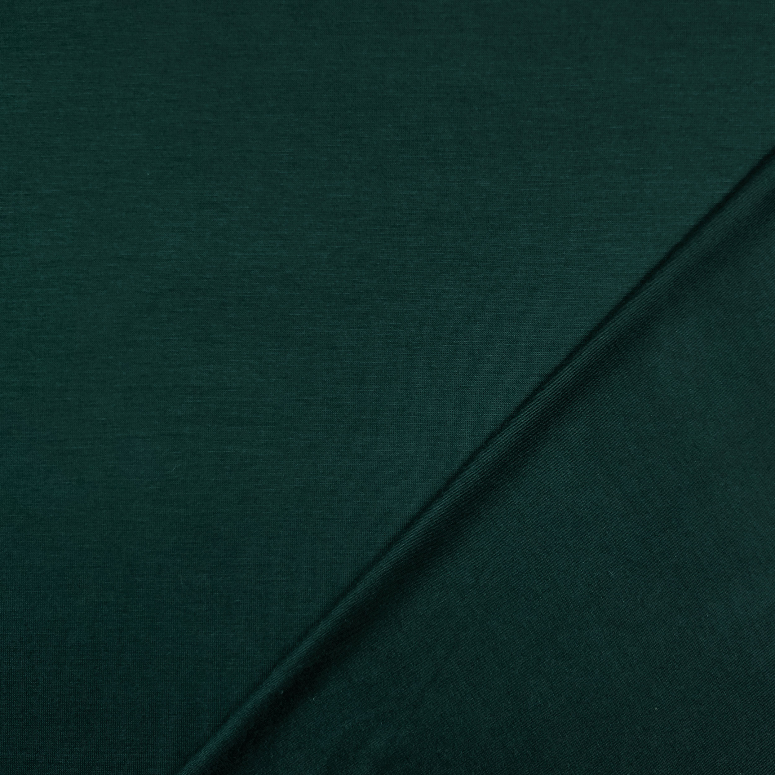 Unicolour Viscose Jersey Image