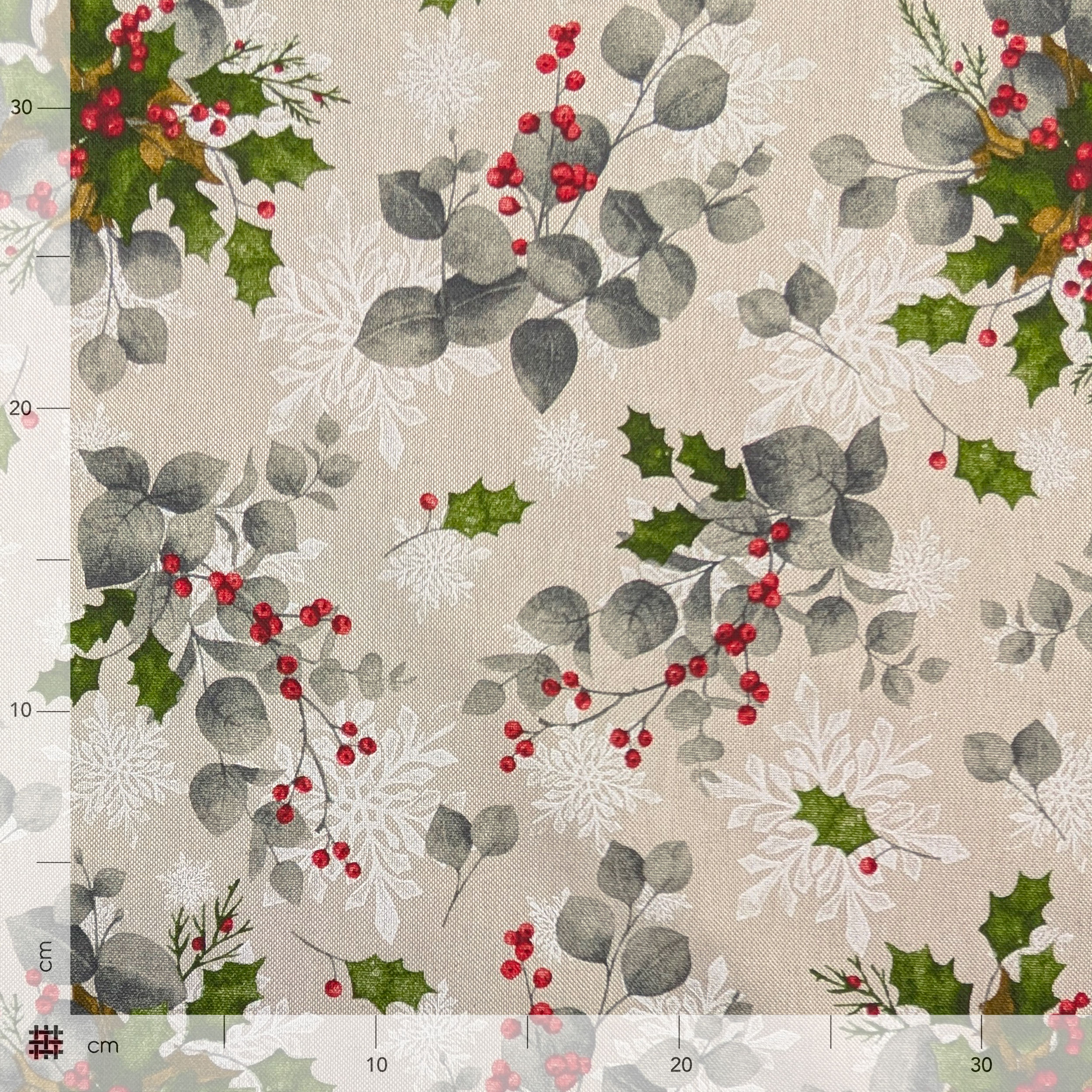 Christmas Panama Holly and Snowflakes Image