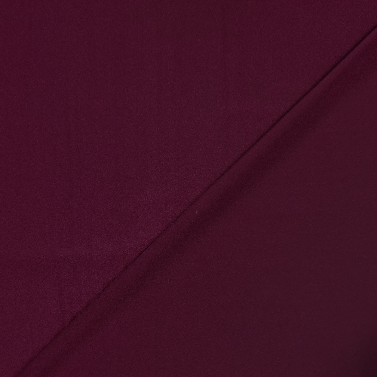 Lycra Lisa Image