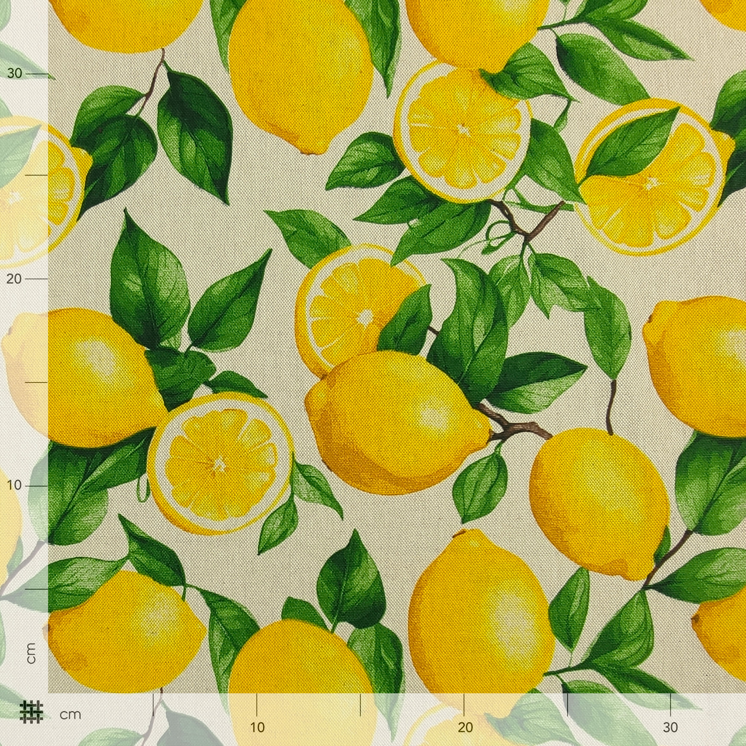 Panama Lemons Background Beige