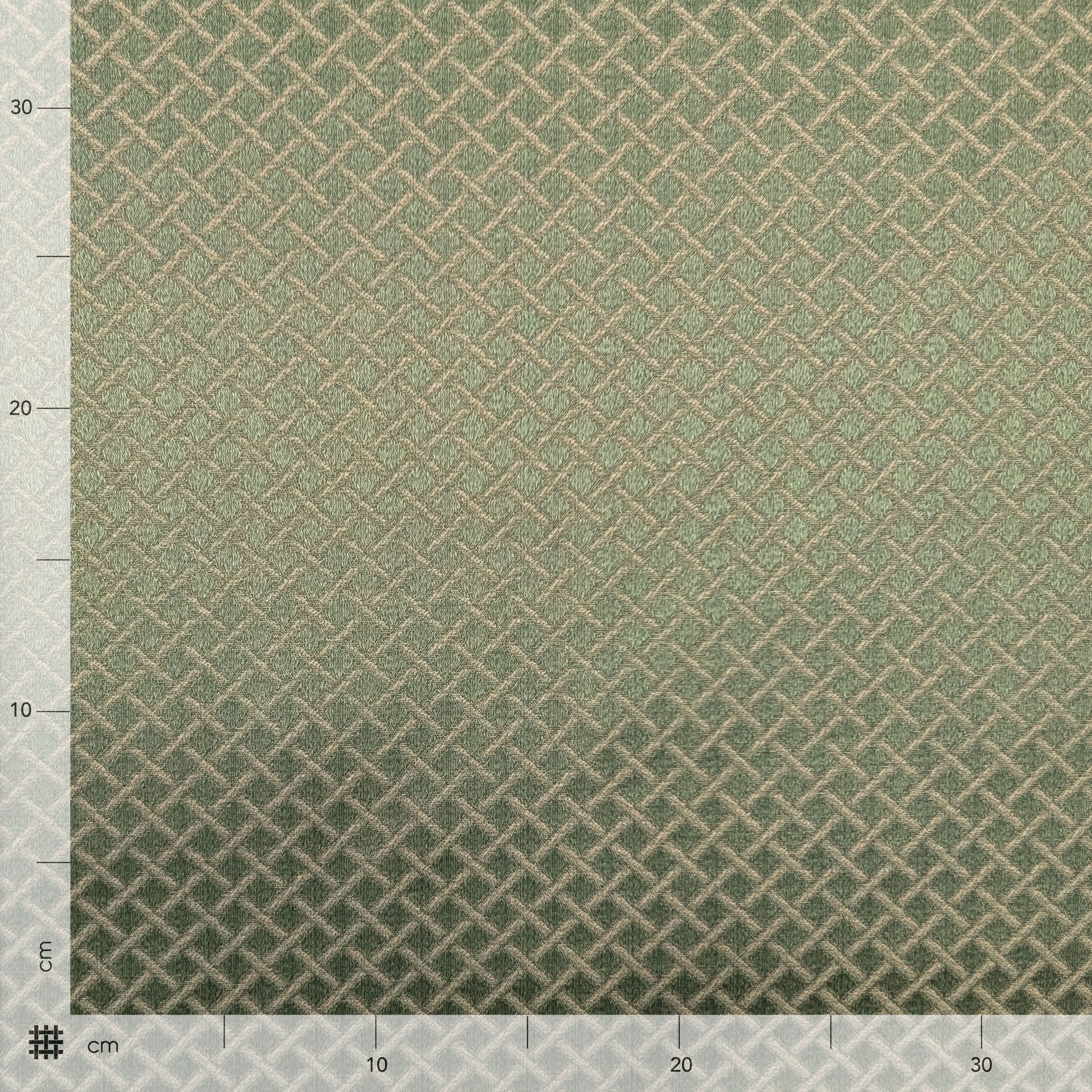 Jacquard tissé vert Image