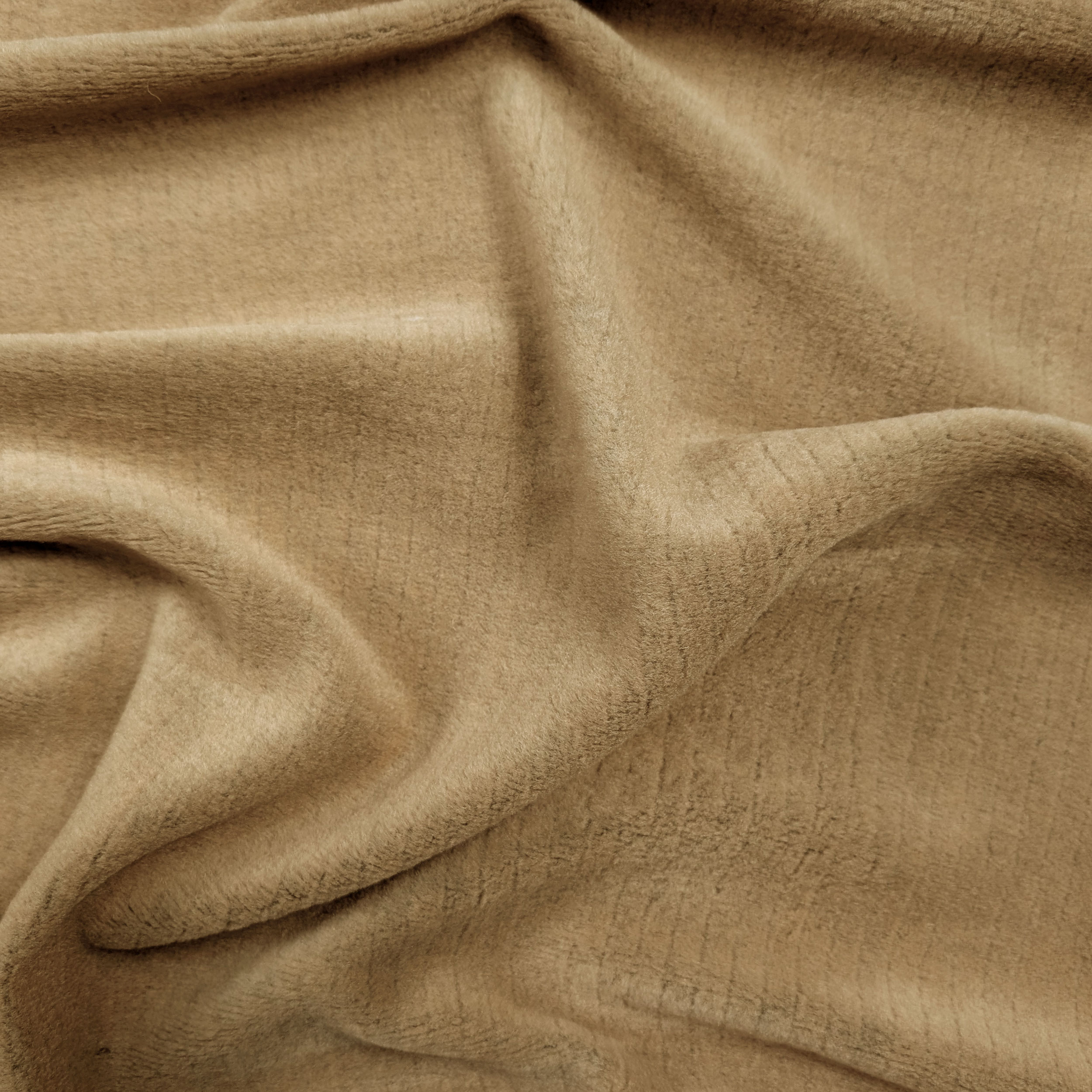 Canetto Coat Biscotto Solid Colour Image