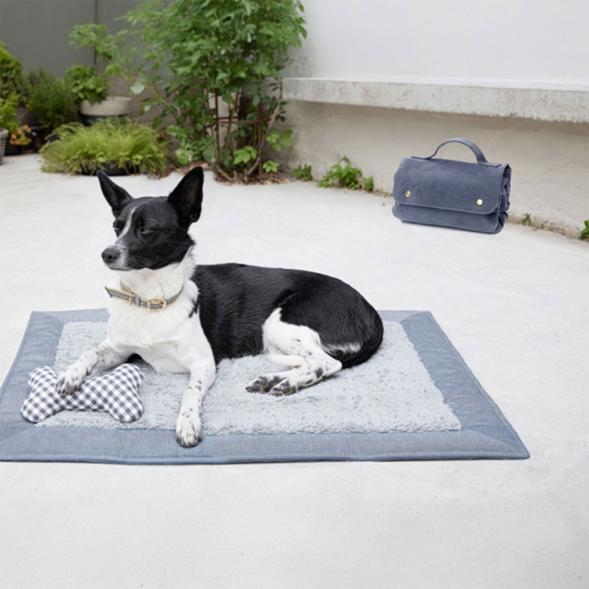 Burda pattern Easy Dog Accessories Image