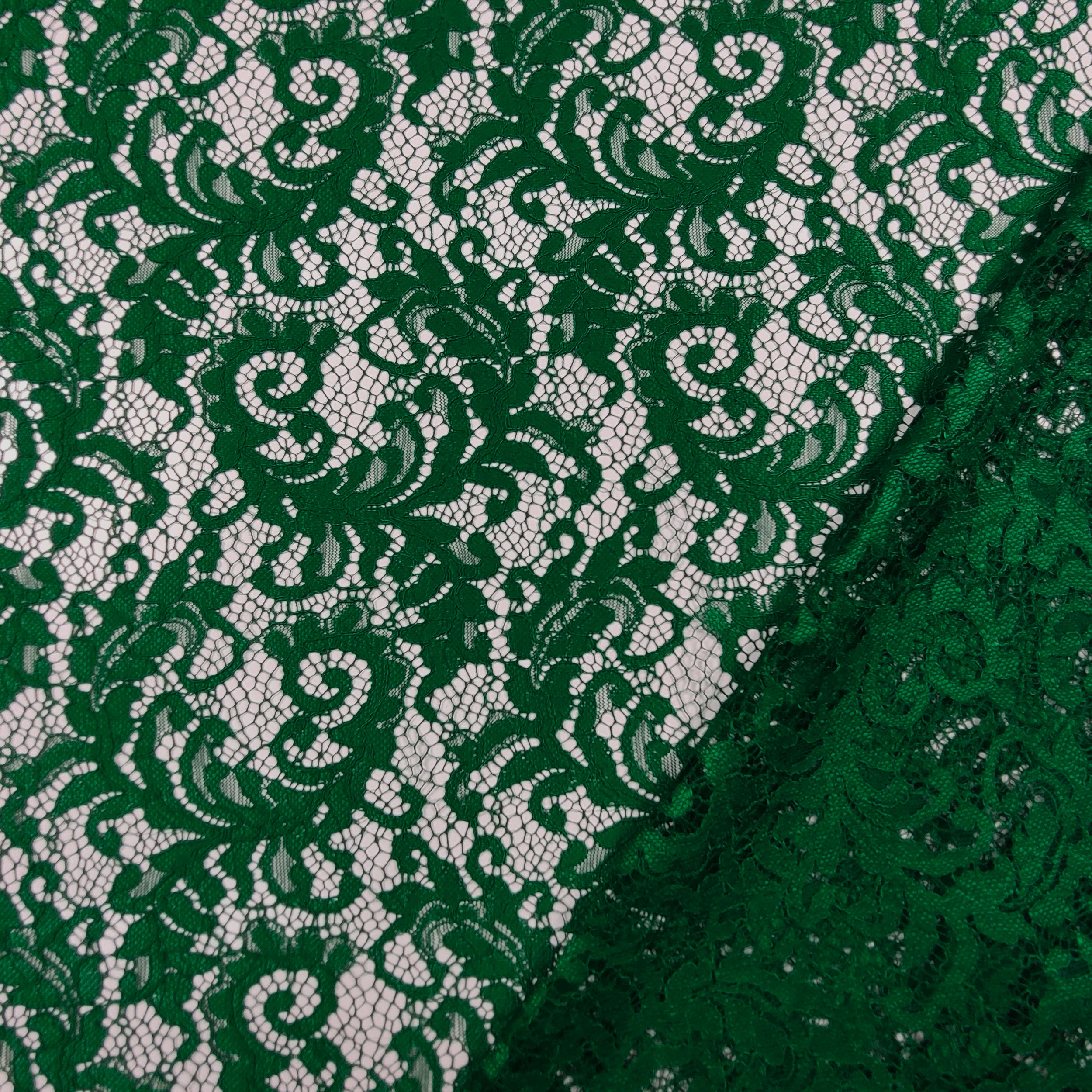Micky Lace Image