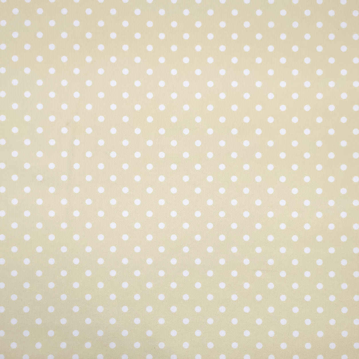 Tissu à pois beige Happy Piquet Image