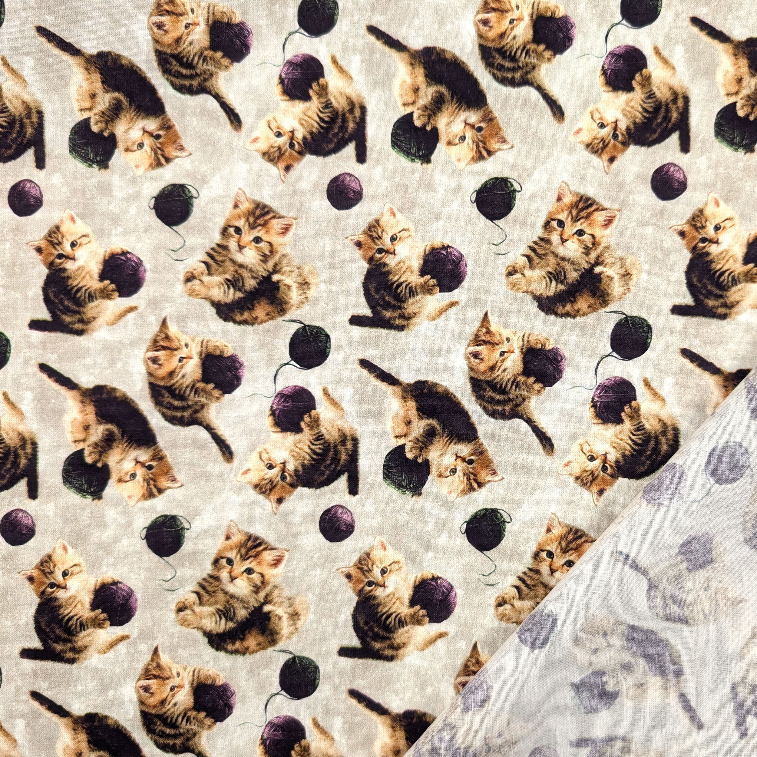 Cotton Fantasy Kittens and Ruffles Image