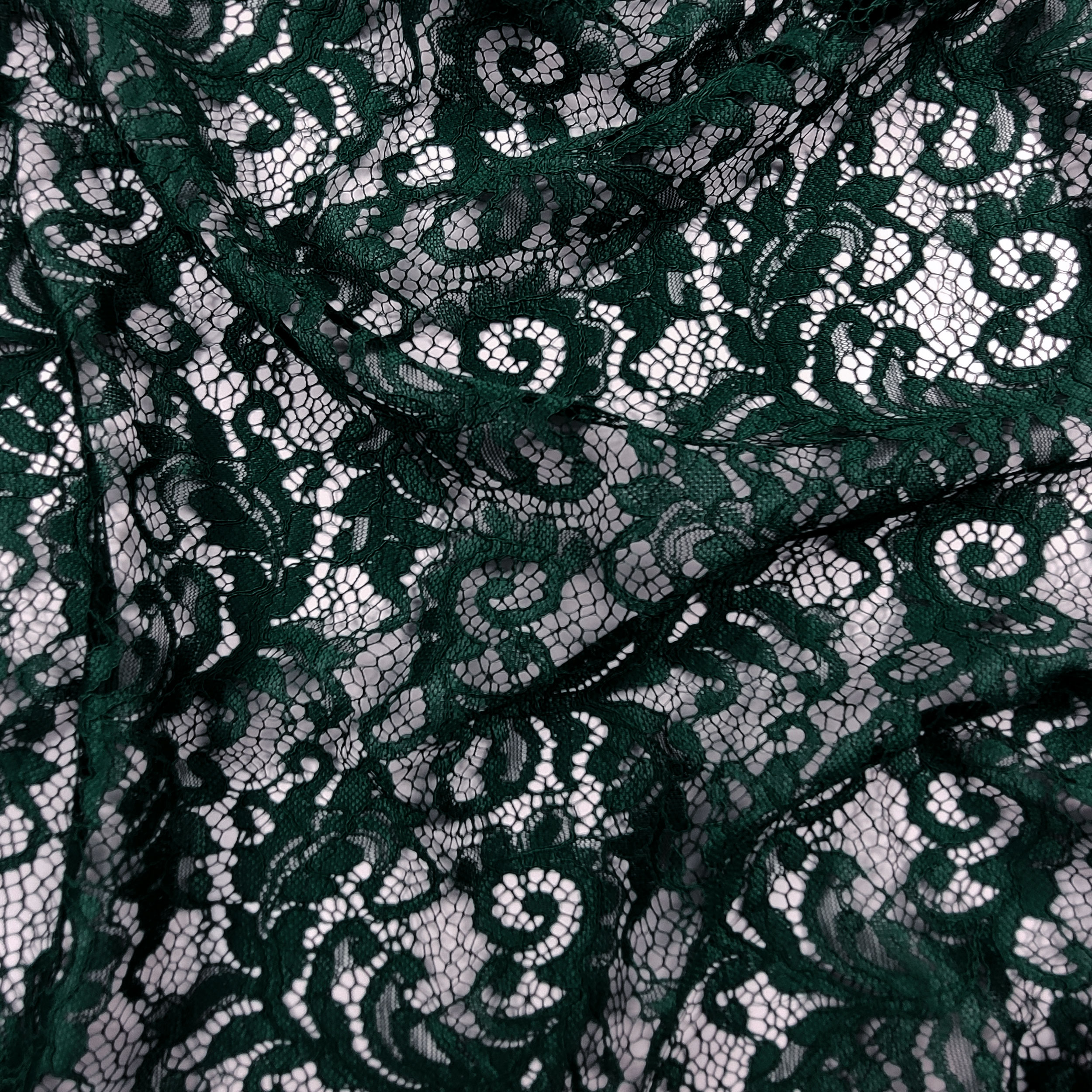 Micky Lace Image