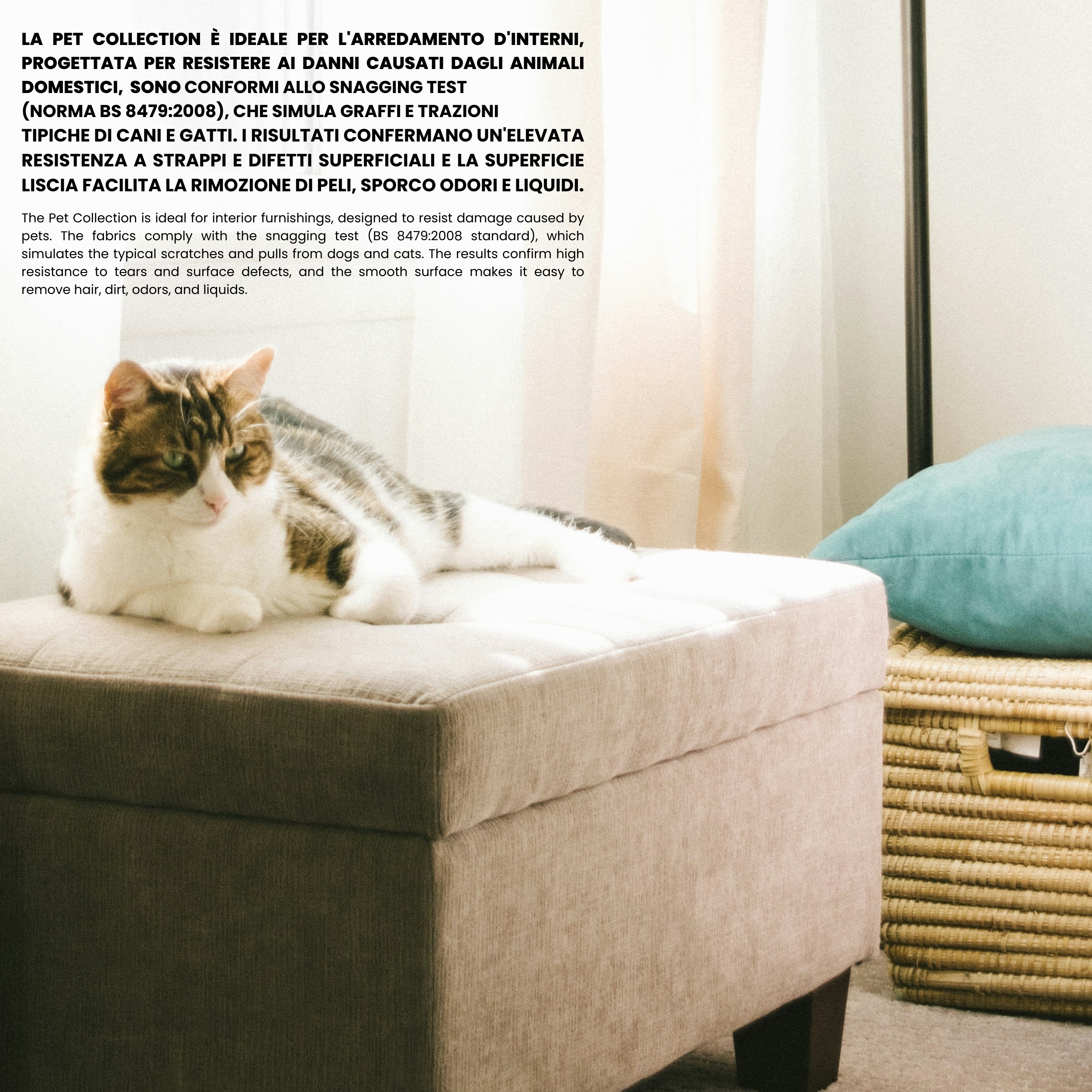 Muebles de carey que admiten mascotas Image