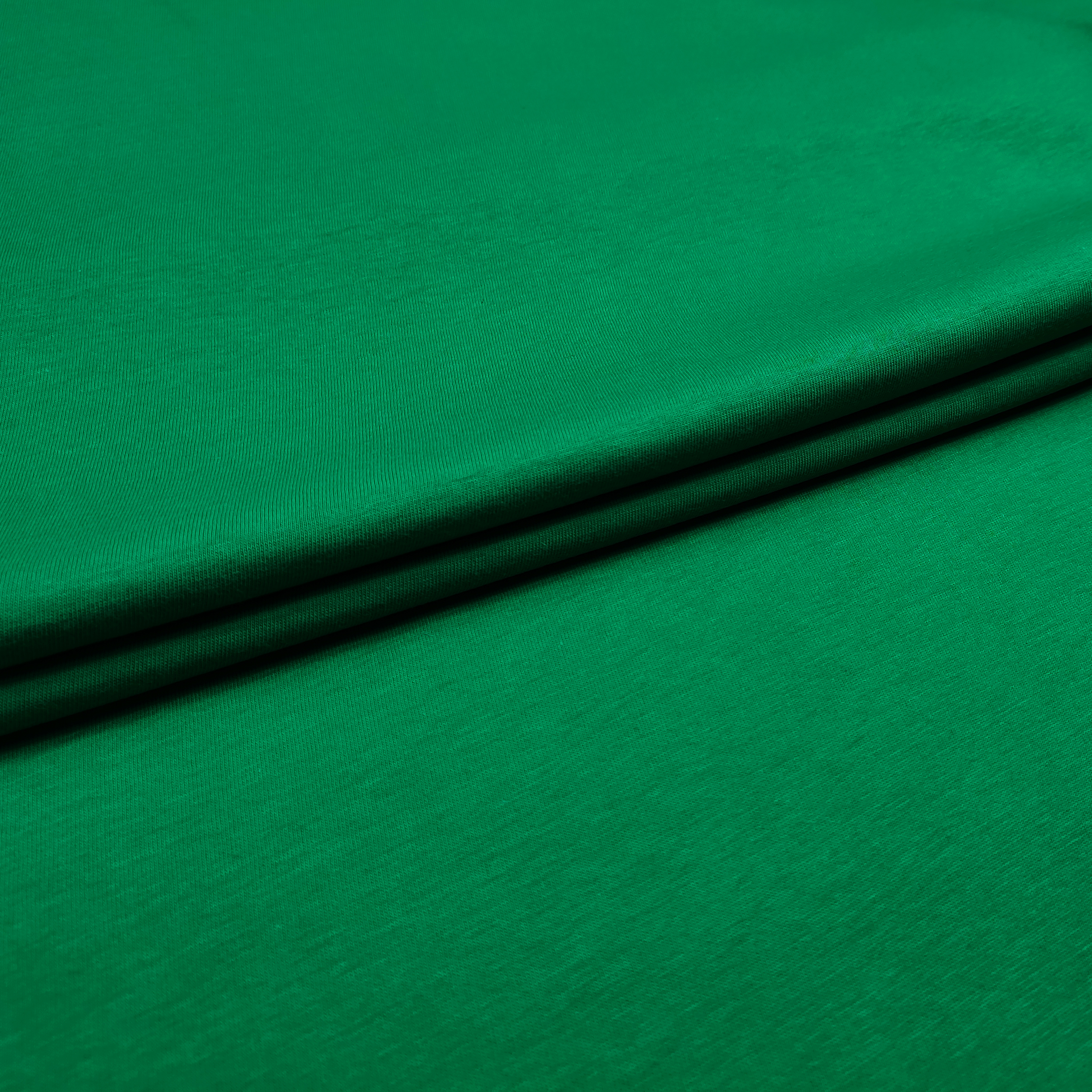 Cotton Jersey Unicolour Image