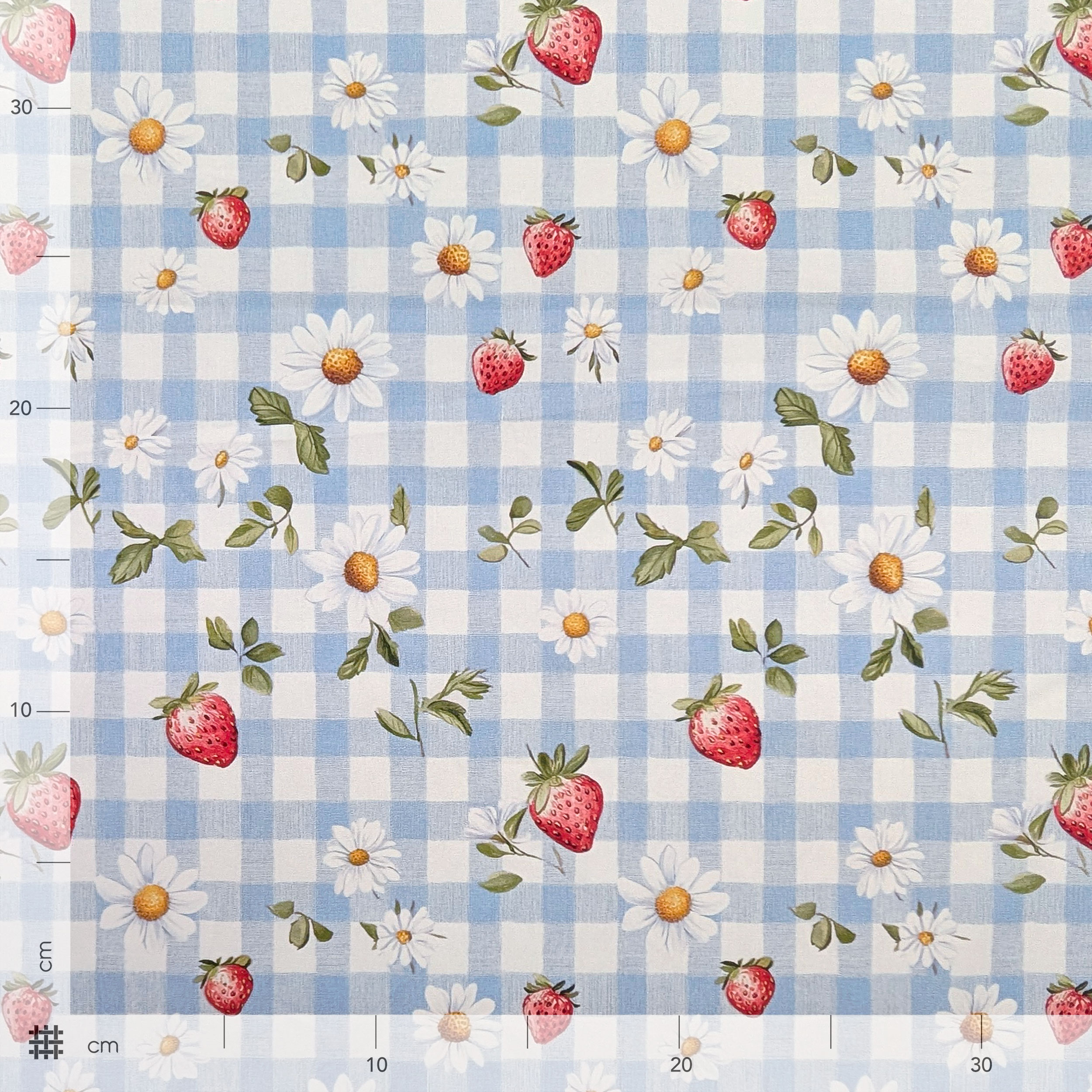 Light Blue and Strawberry Check Cotton Poplin Image