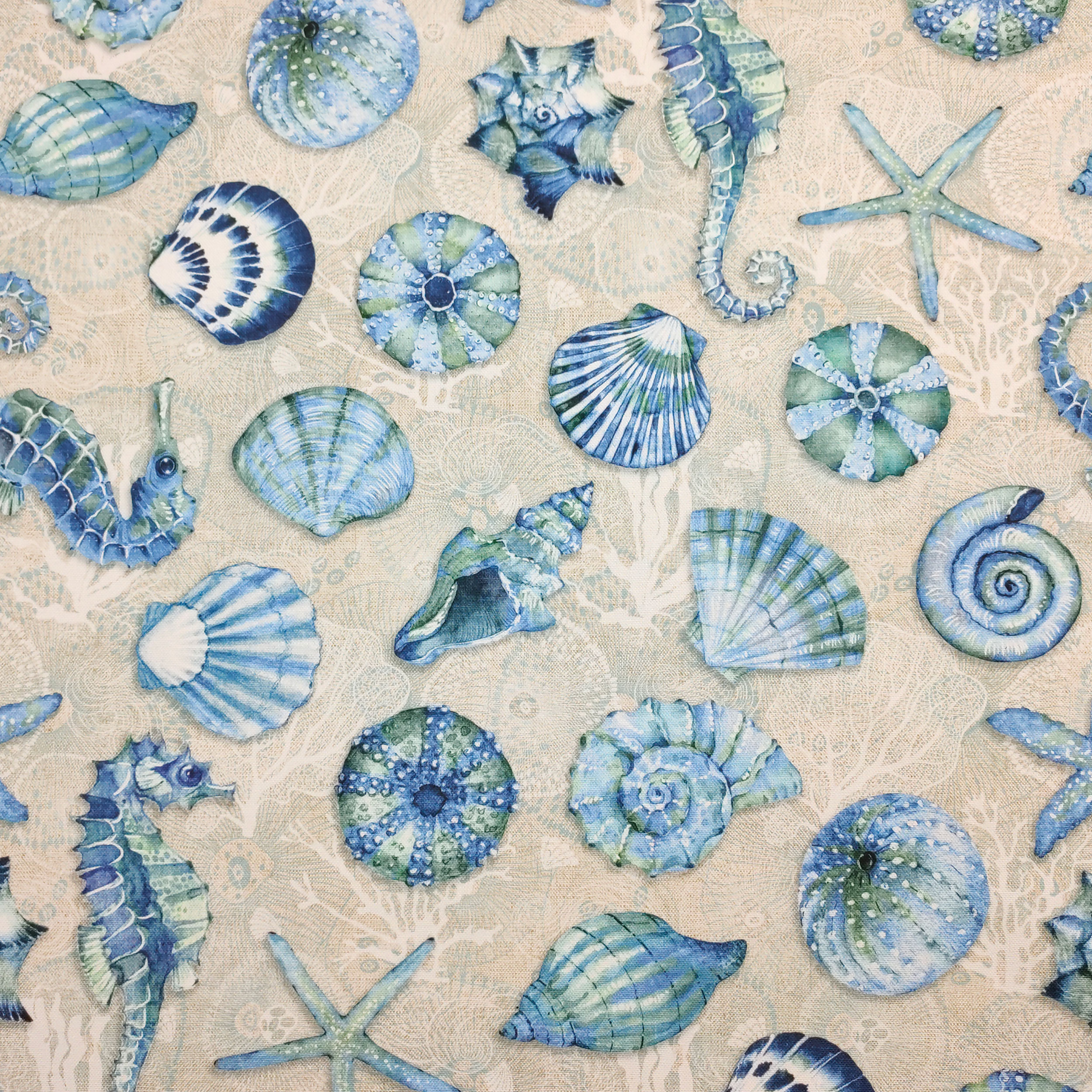 Panama Shells Beige Background