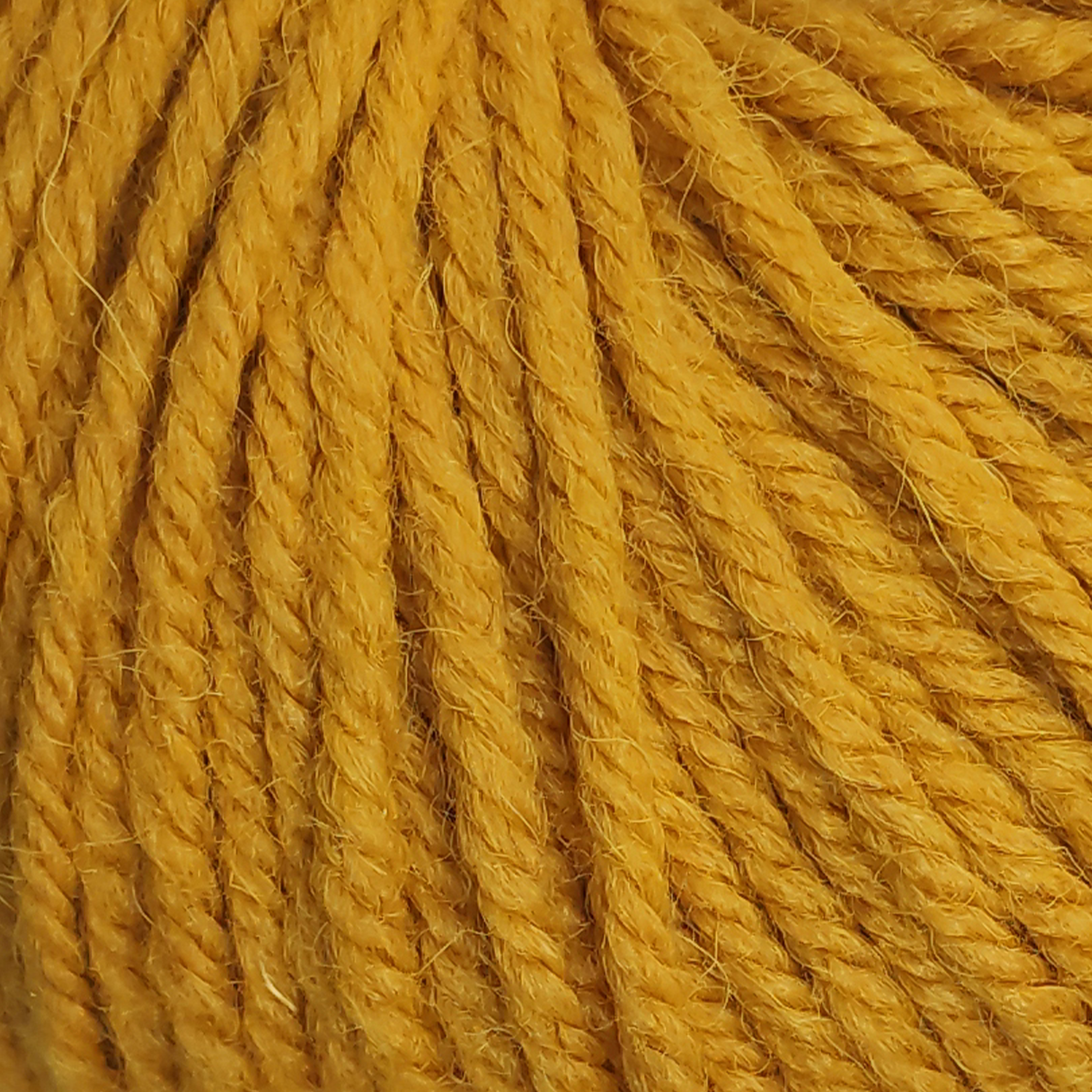 Mustard - 2067