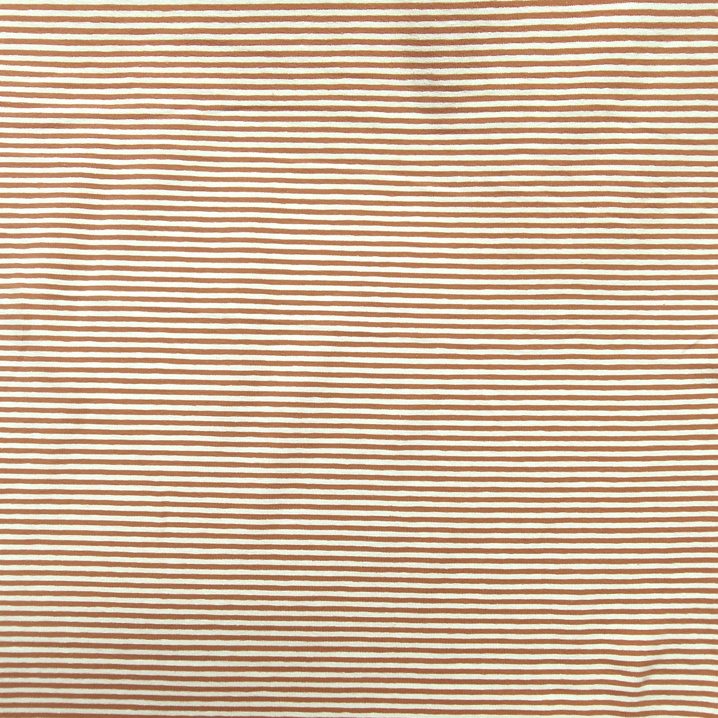 Yarn-dyed Jersey Cotton Coloured Stripes 2