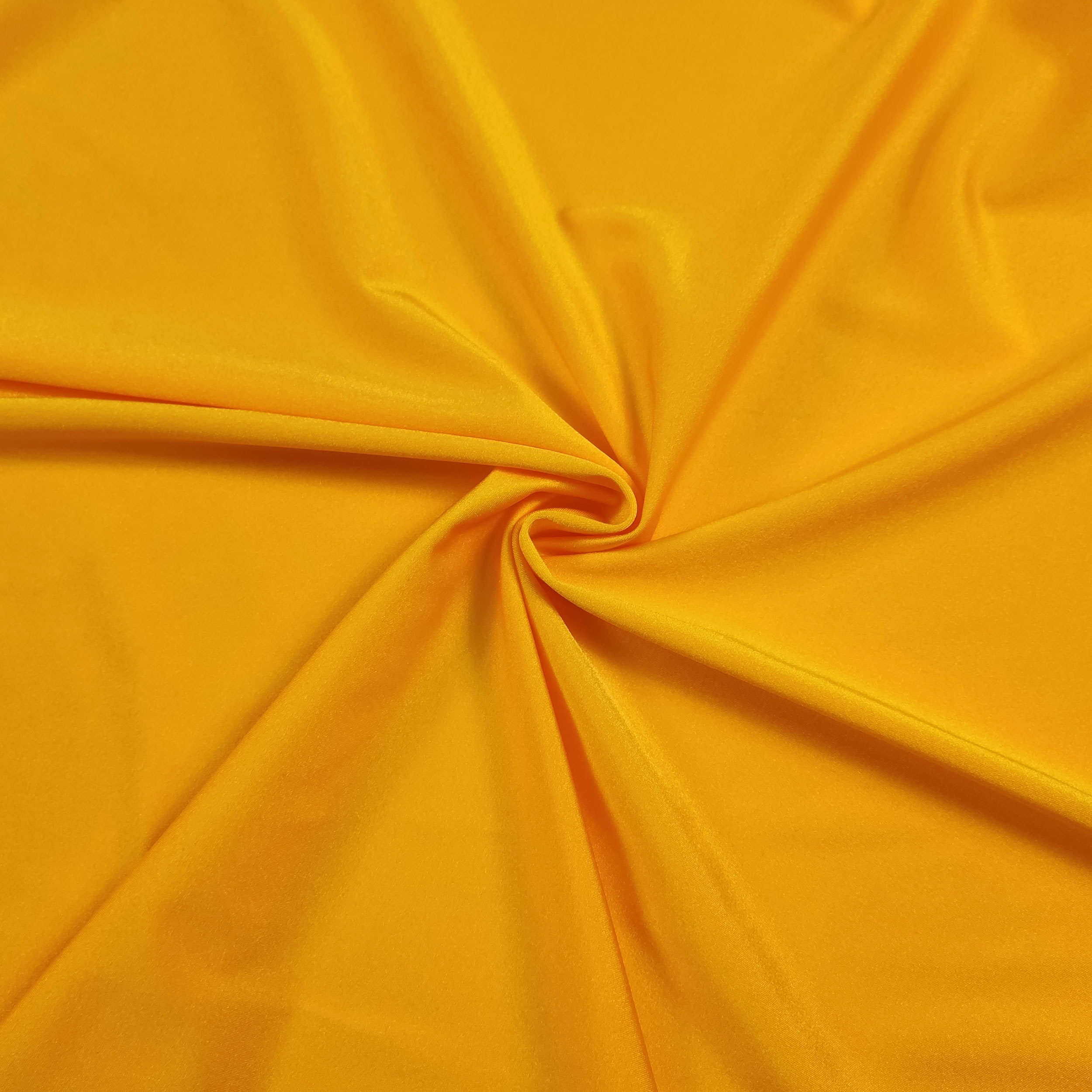 Lycra Lisa Image