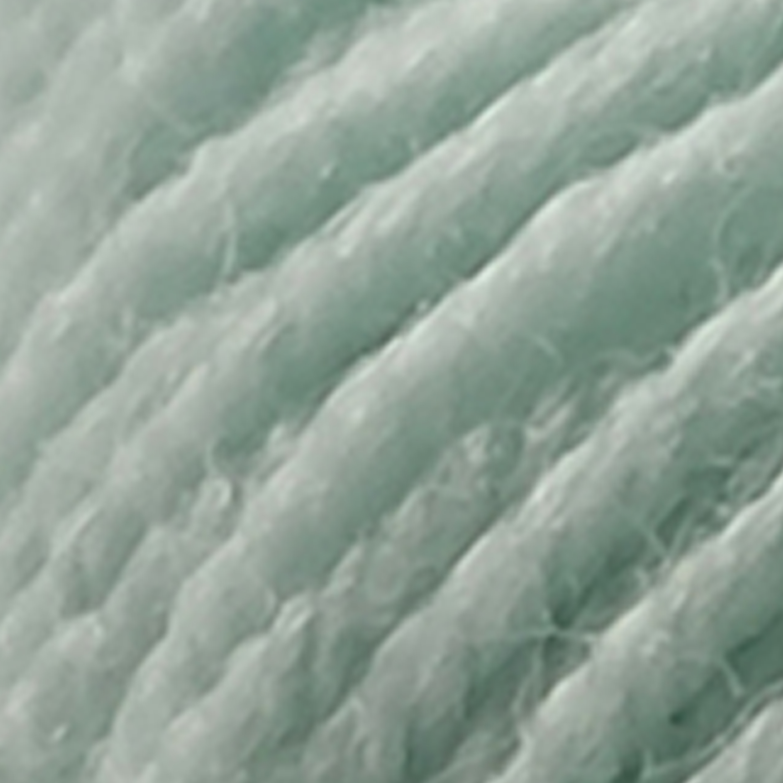 Vert d'eau - 489