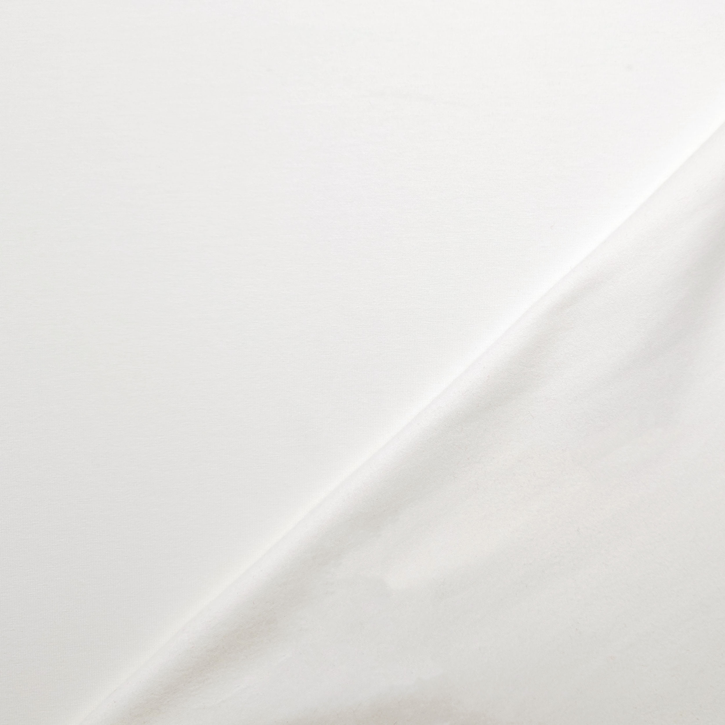 Sweat Cotton Jersey White Image