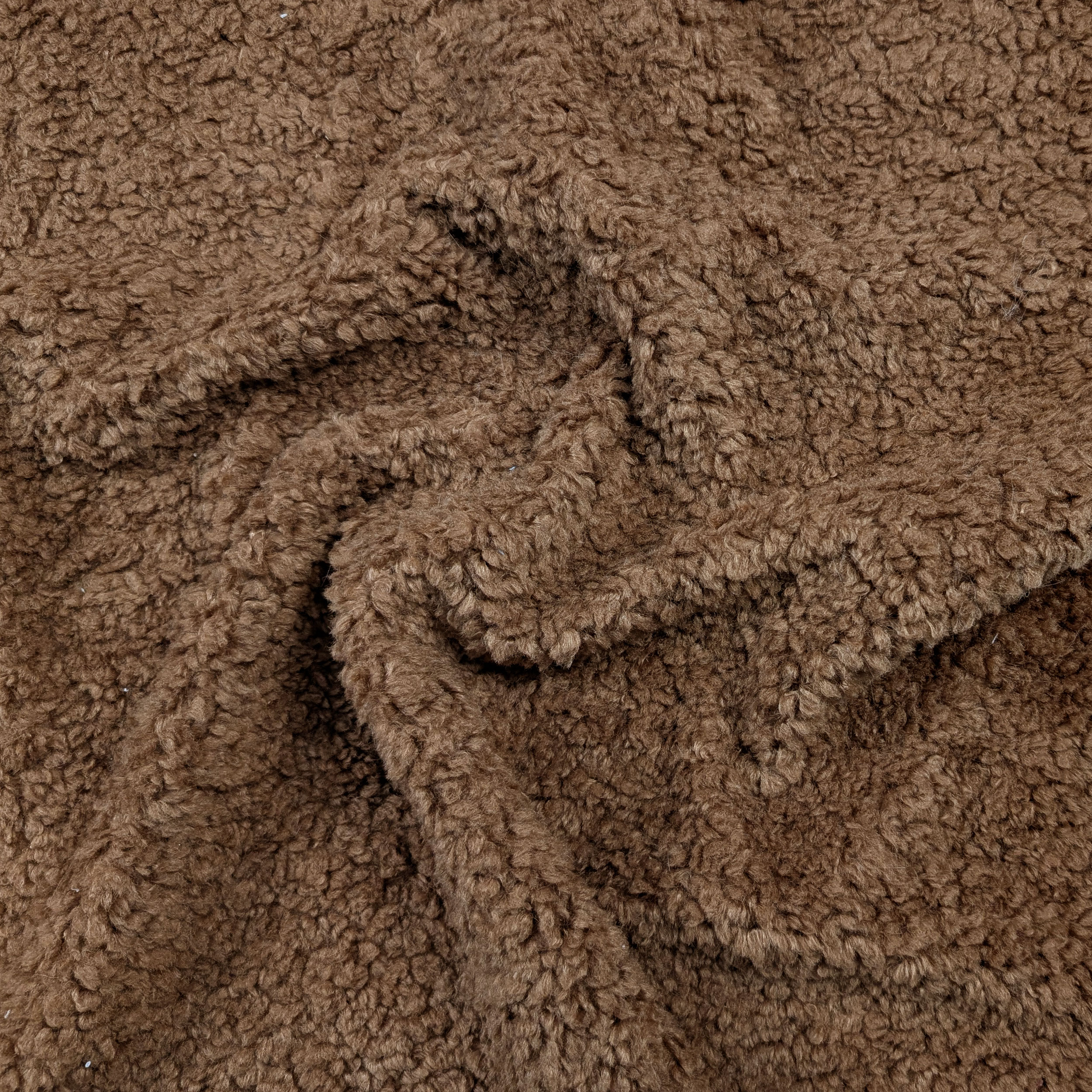 Fur Teddy Special Biscuit Image