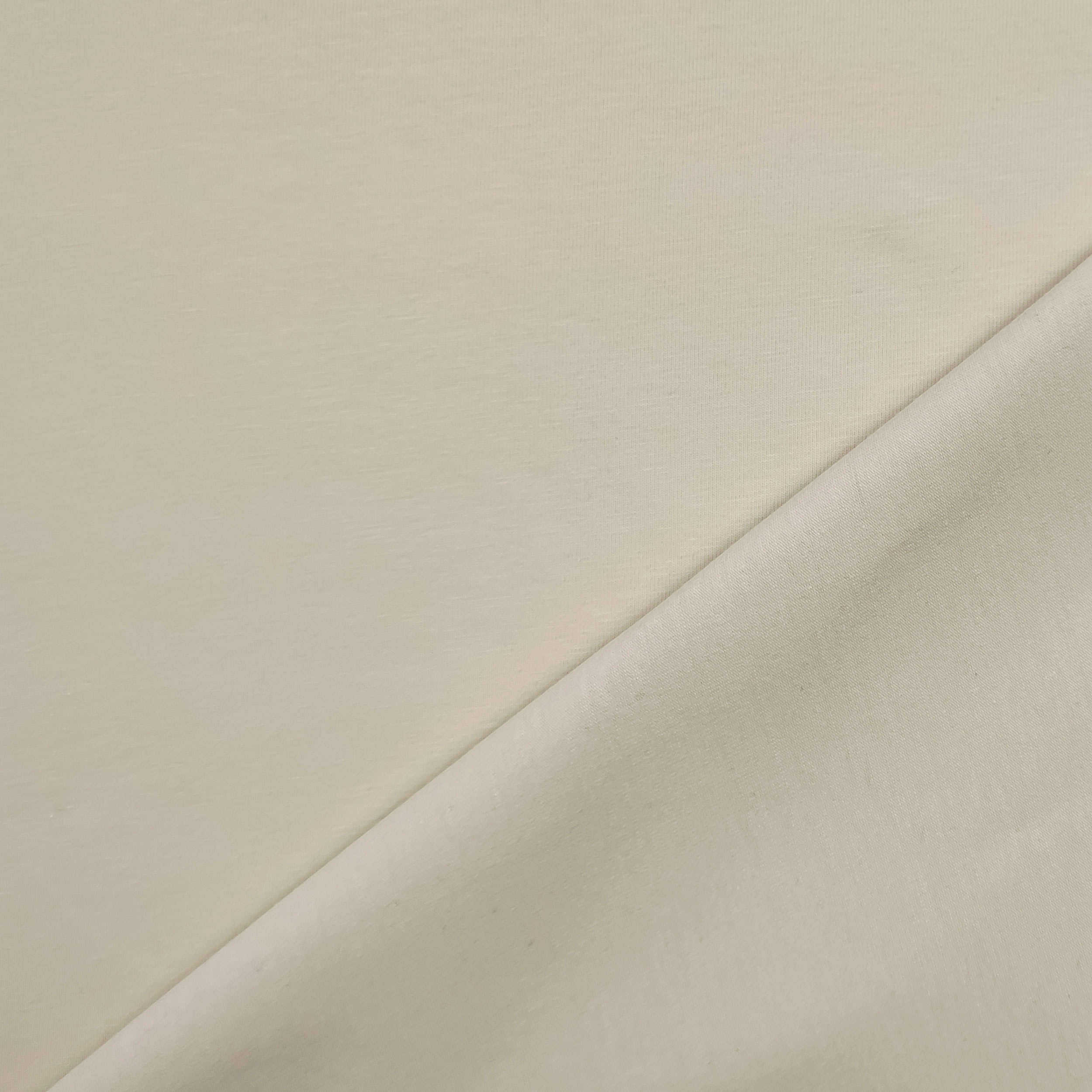 Cotton Jersey Unicolour Image