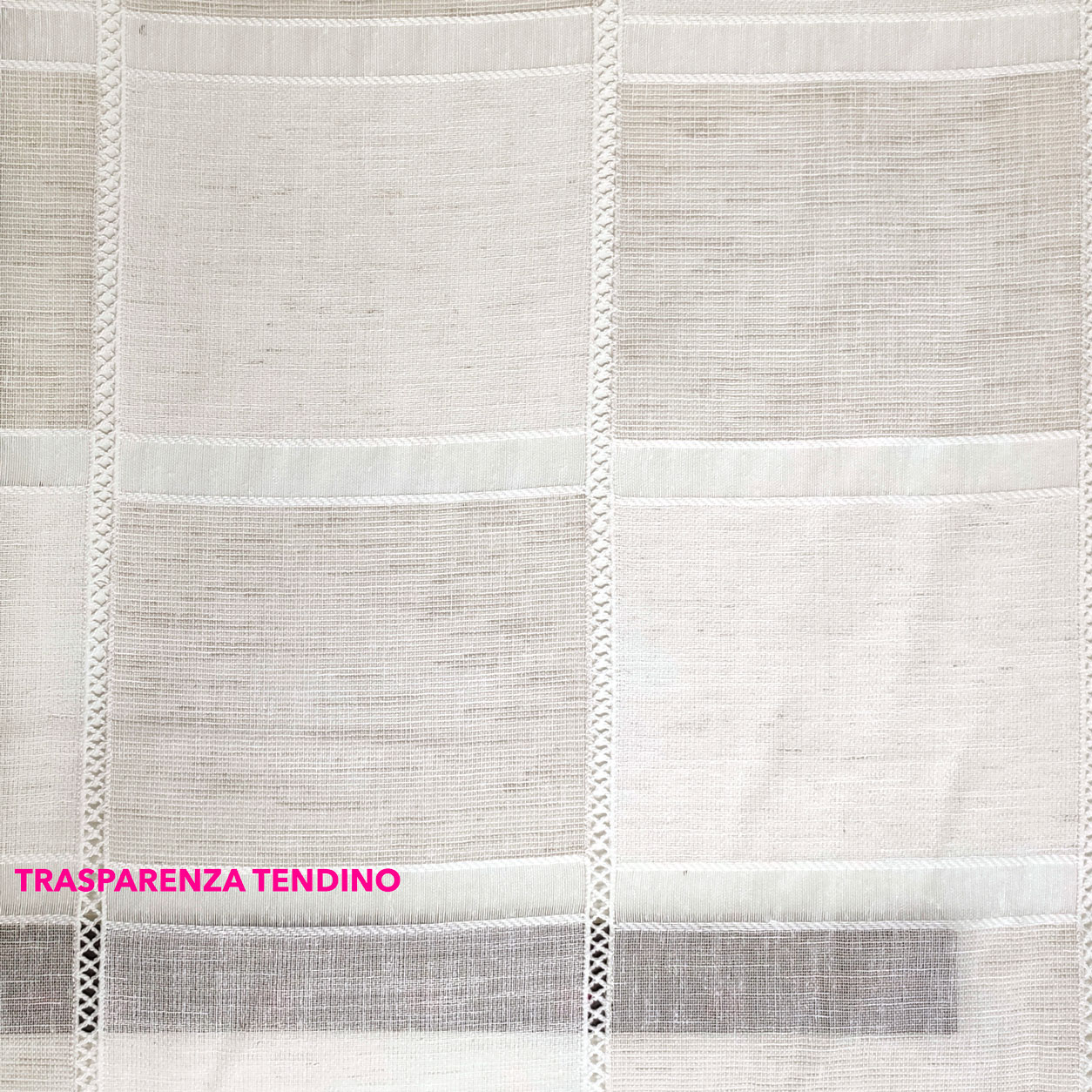 tendino-semitrasparente-quadri-naturale