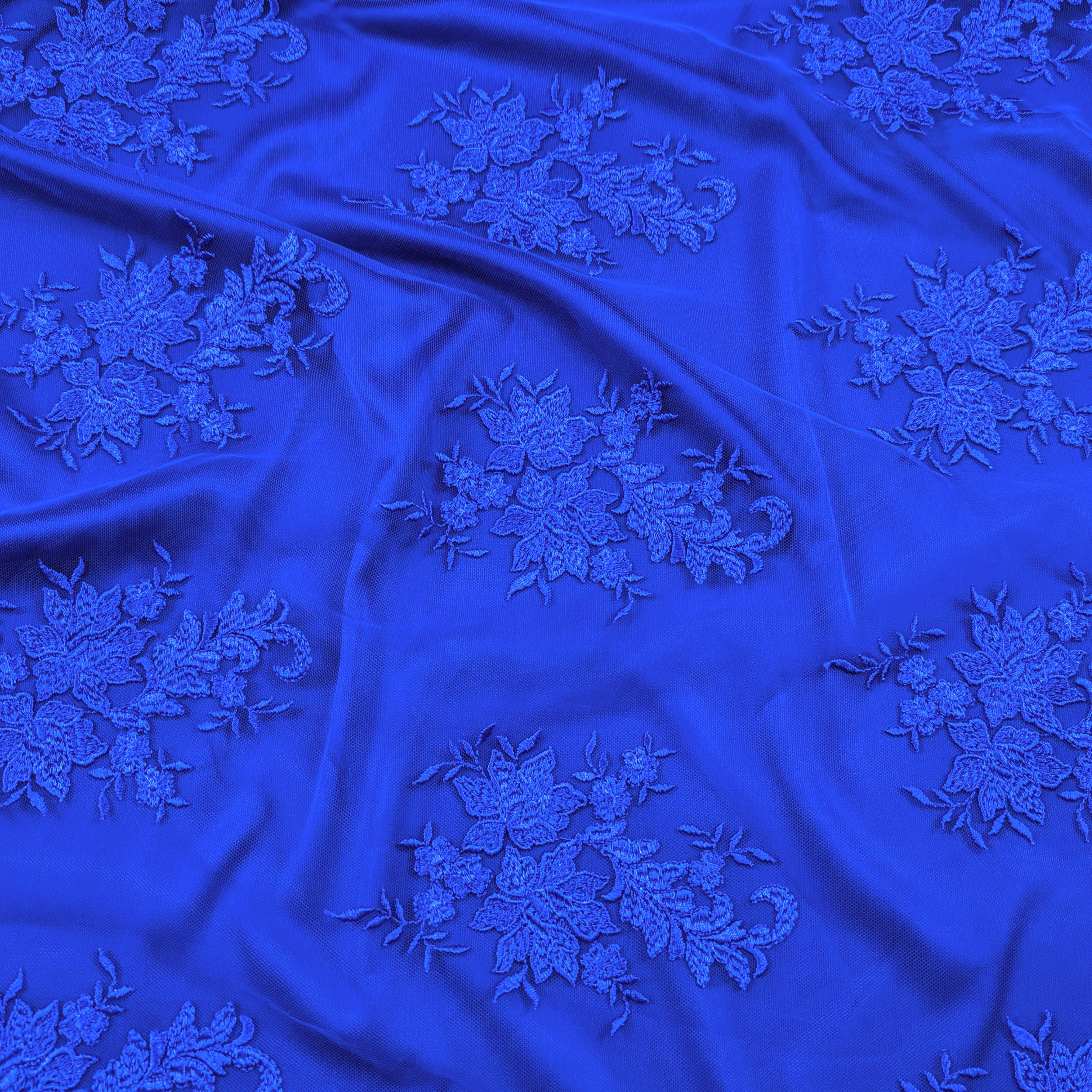 High Fashion Lace Double Edge Bluette Image